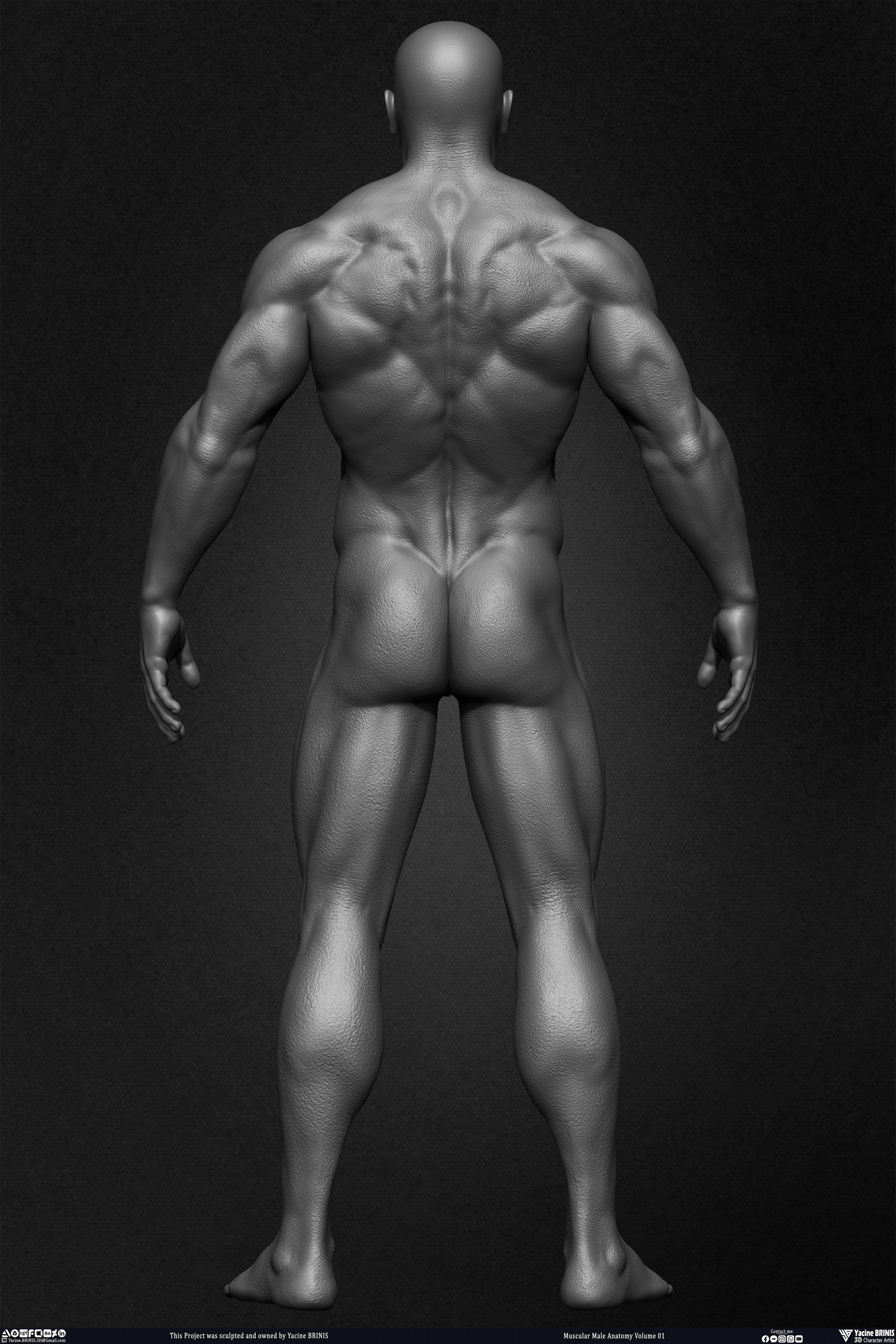 Muscular Male Anatomy 3D Character sculpted by Yacine BRINIS 014