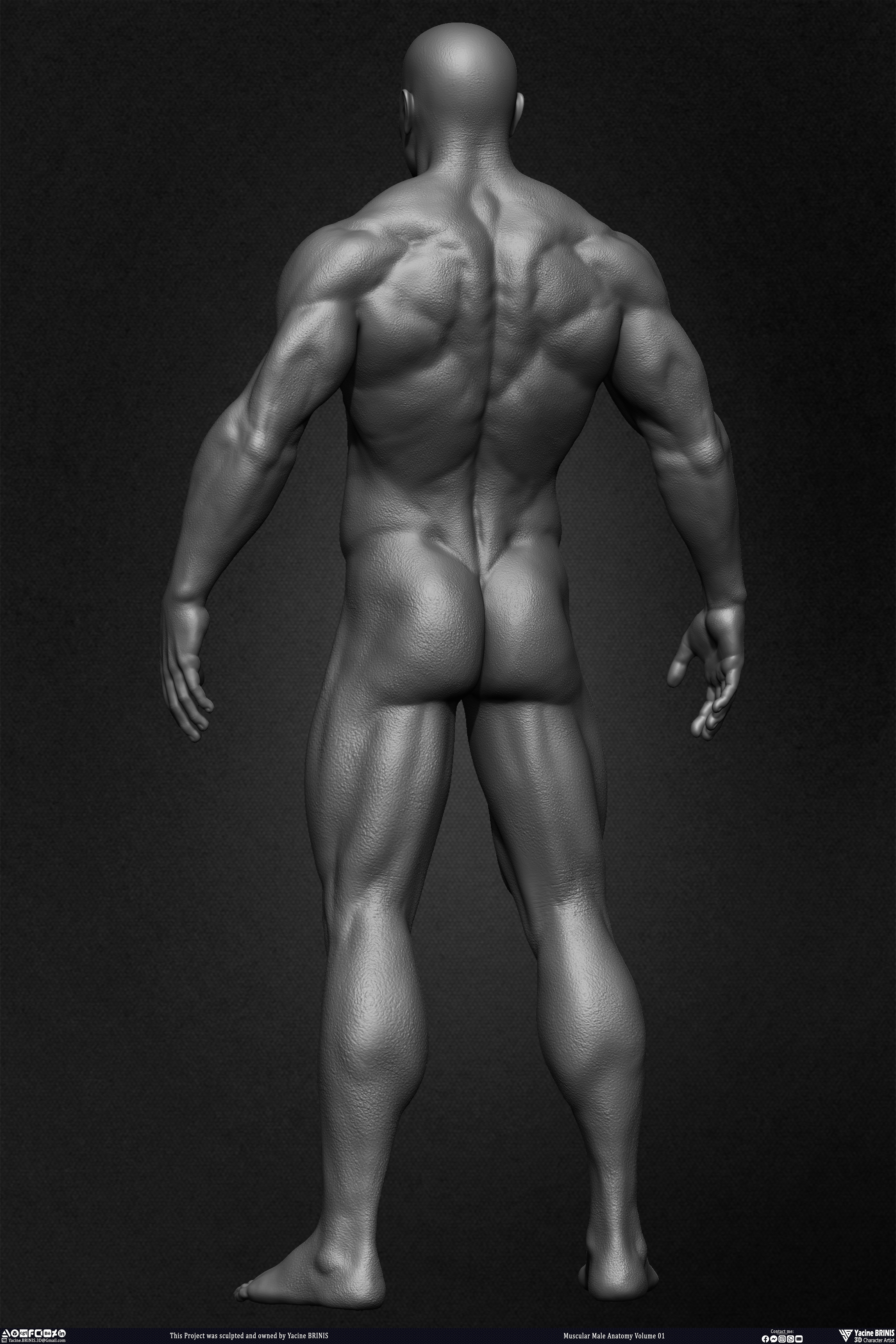 Muscular Male Anatomy 3D Character sculpted by Yacine BRINIS 015