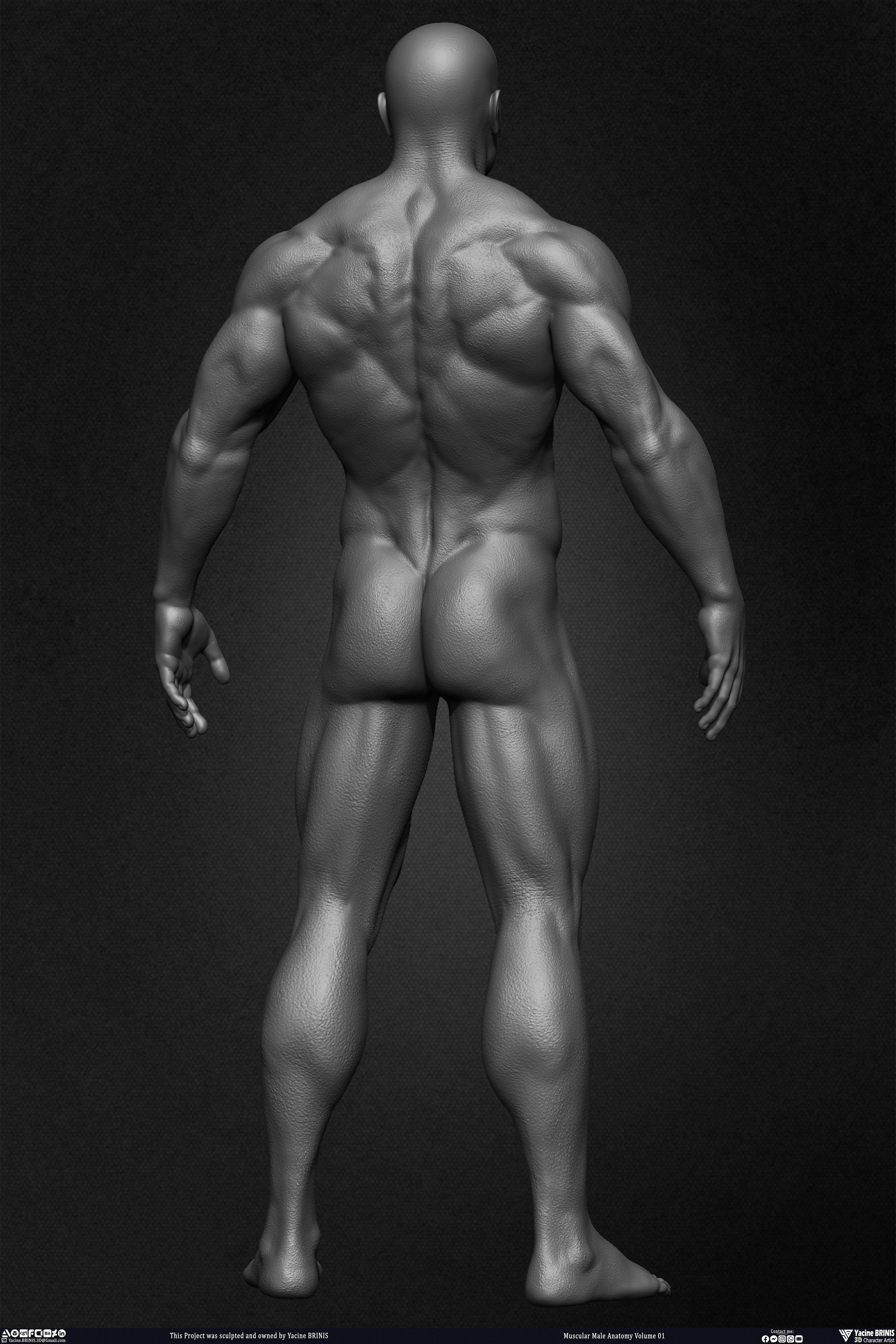 Muscular Male Anatomy 3D Character sculpted by Yacine BRINIS 016
