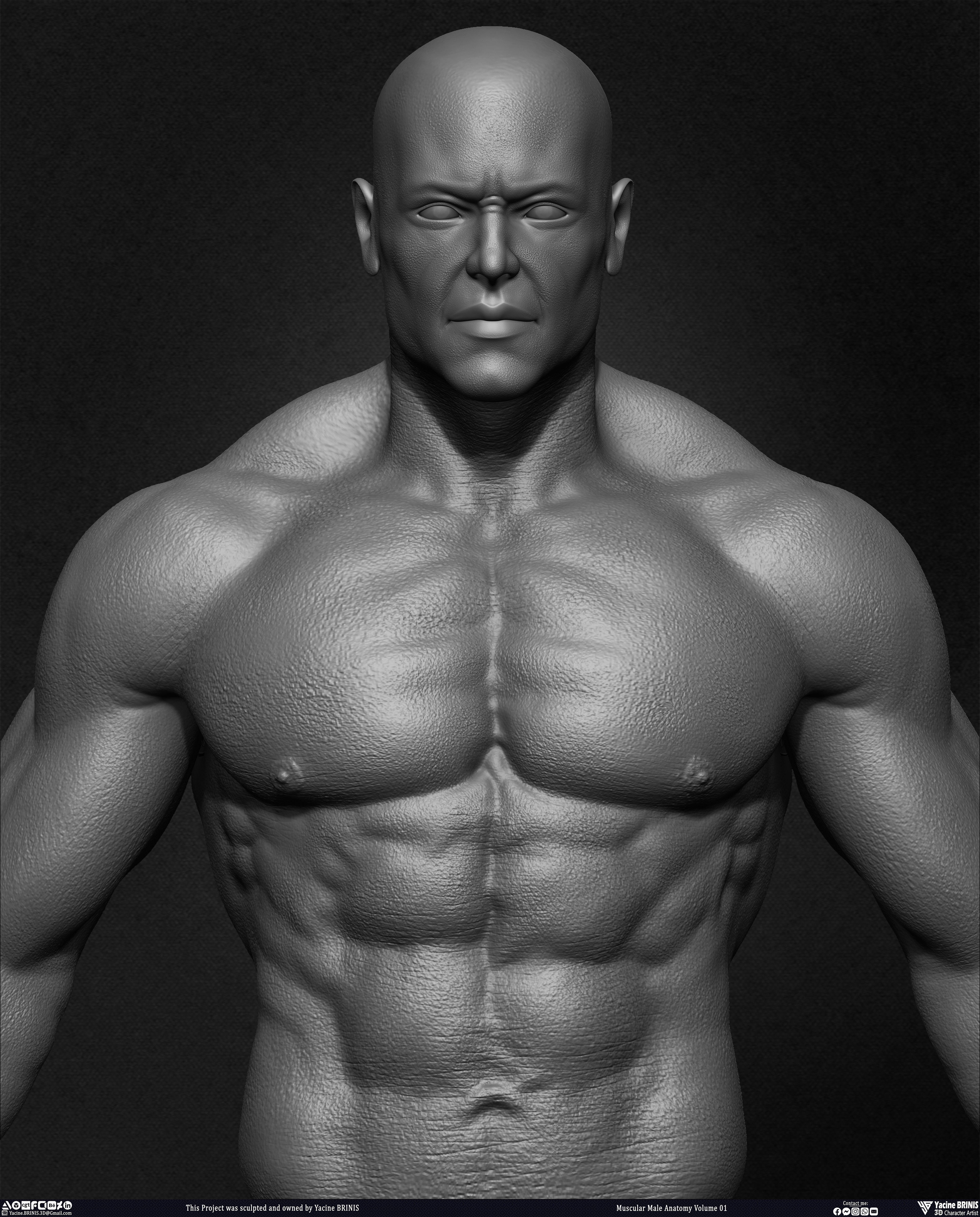 Muscular Male Anatomy 3D Character sculpted by Yacine BRINIS 017