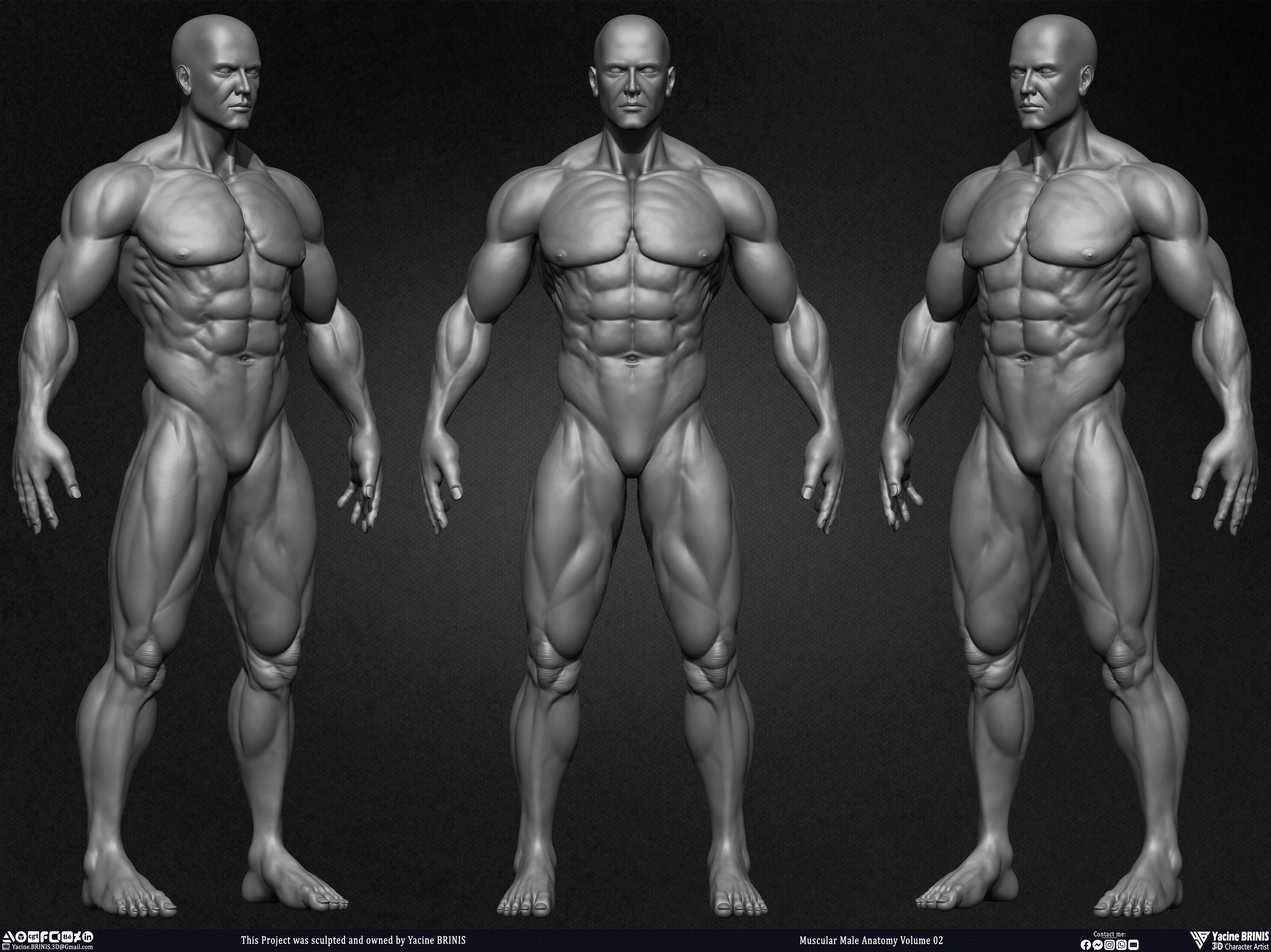 Muscular Male Anatomy Volume 2 3D Character sculpted by Yacine BRINIS 003