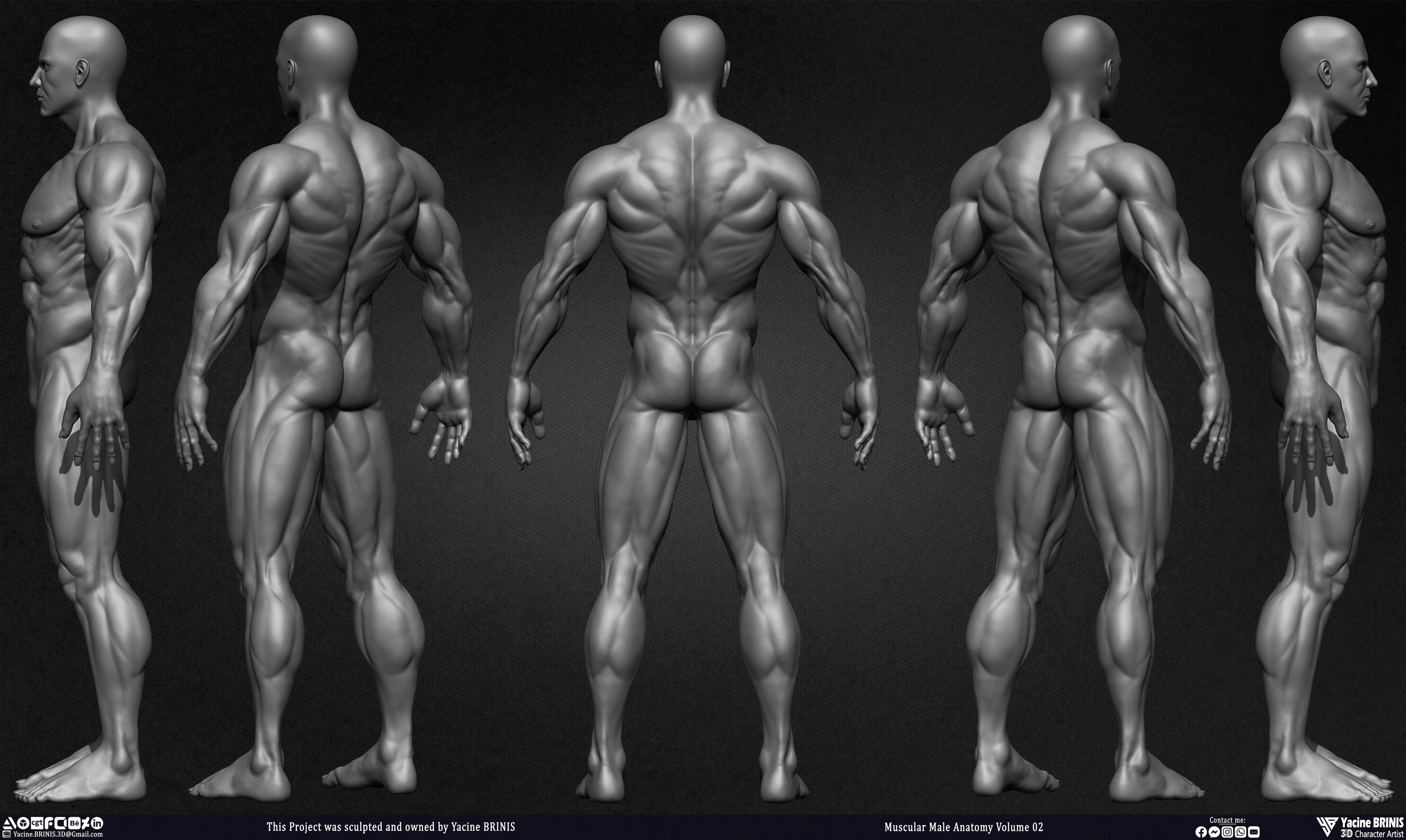 Muscular Male Anatomy Volume 2 3D Character sculpted by Yacine BRINIS 005