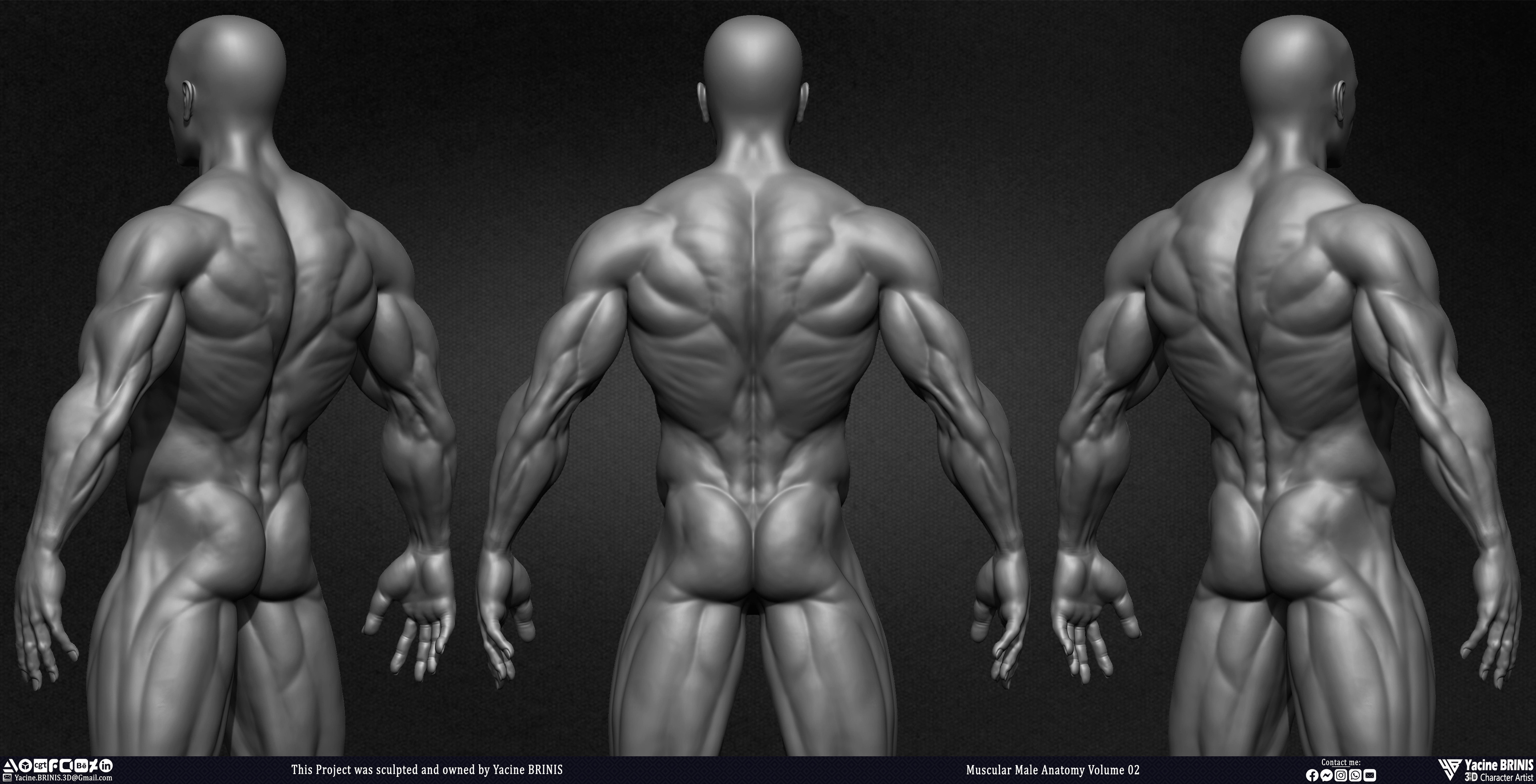 Muscular Male Anatomy Volume 2 3D Character sculpted by Yacine BRINIS 007
