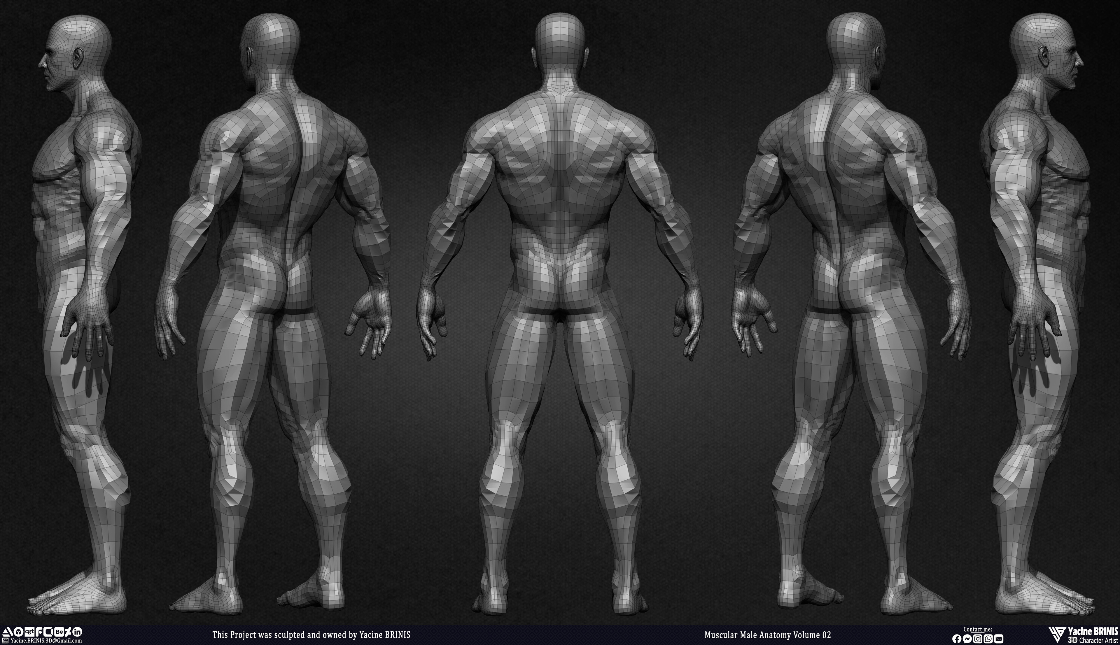 Muscular Male Anatomy Volume 2 3D Character sculpted by Yacine BRINIS 009