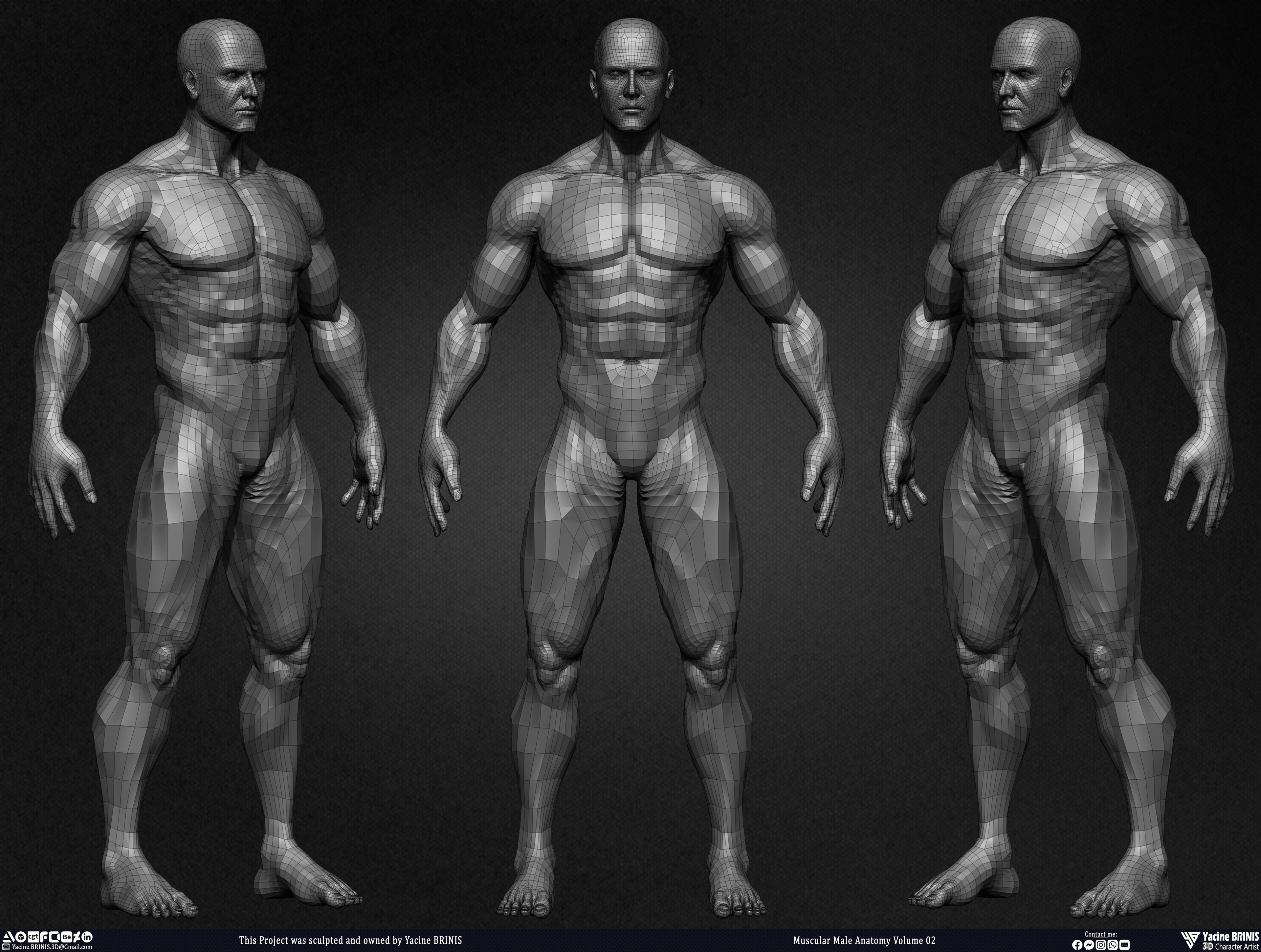 Muscular Male Anatomy Volume 2 3D Character sculpted by Yacine BRINIS 011
