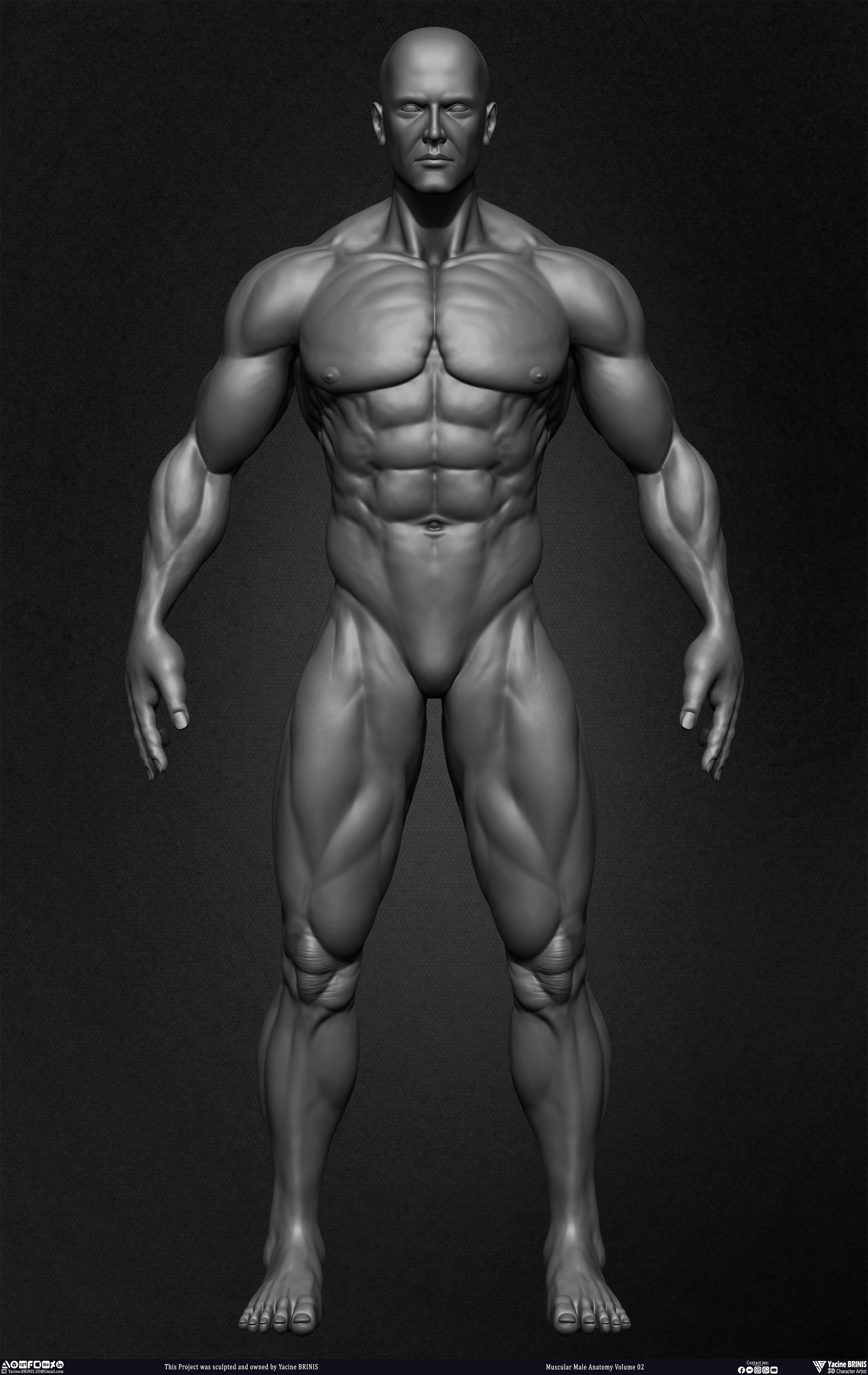 Muscular Male Anatomy Volume 2 3D Character sculpted by Yacine BRINIS 013