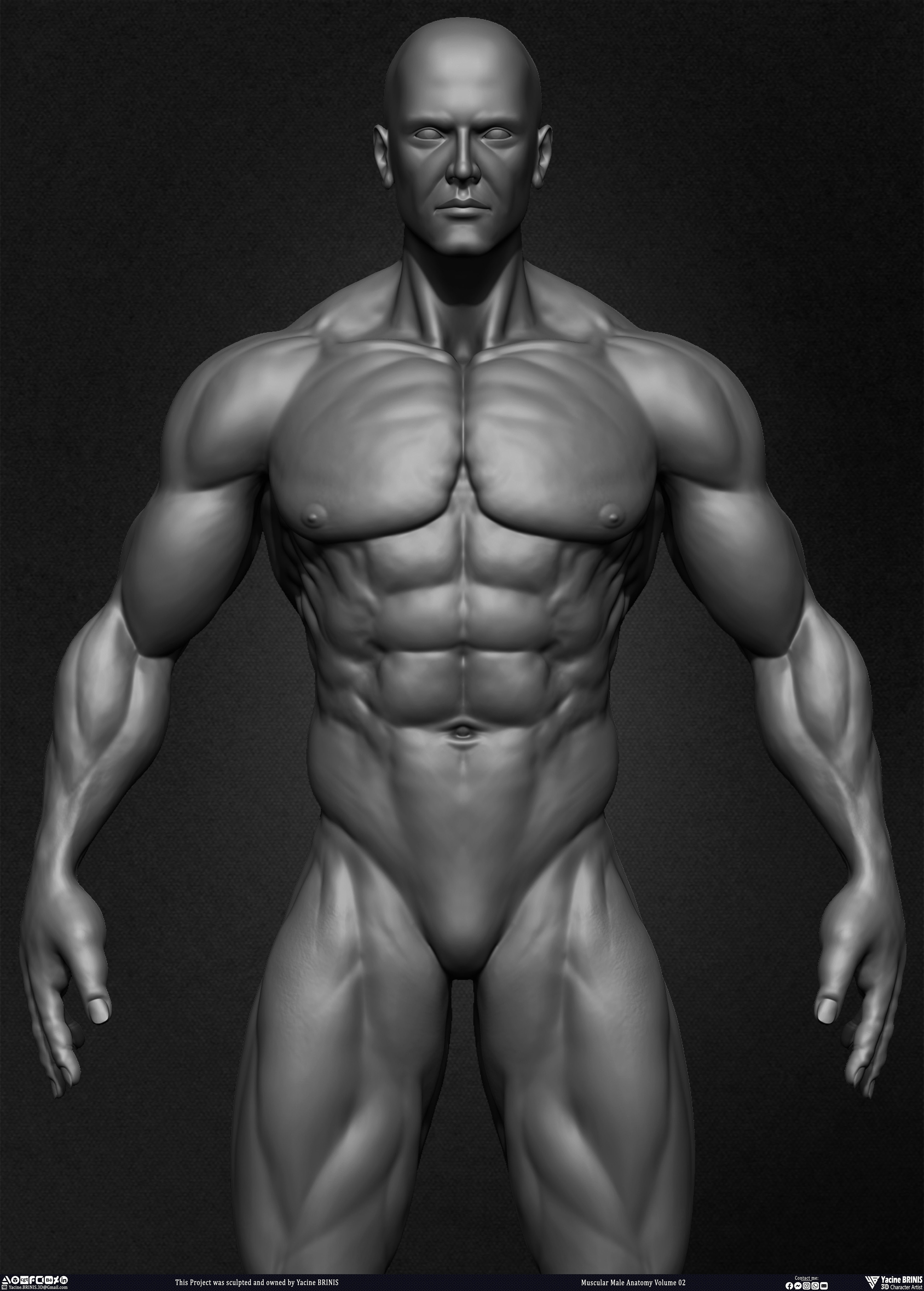 Muscular Male Anatomy Volume 2 3D Character sculpted by Yacine BRINIS 014