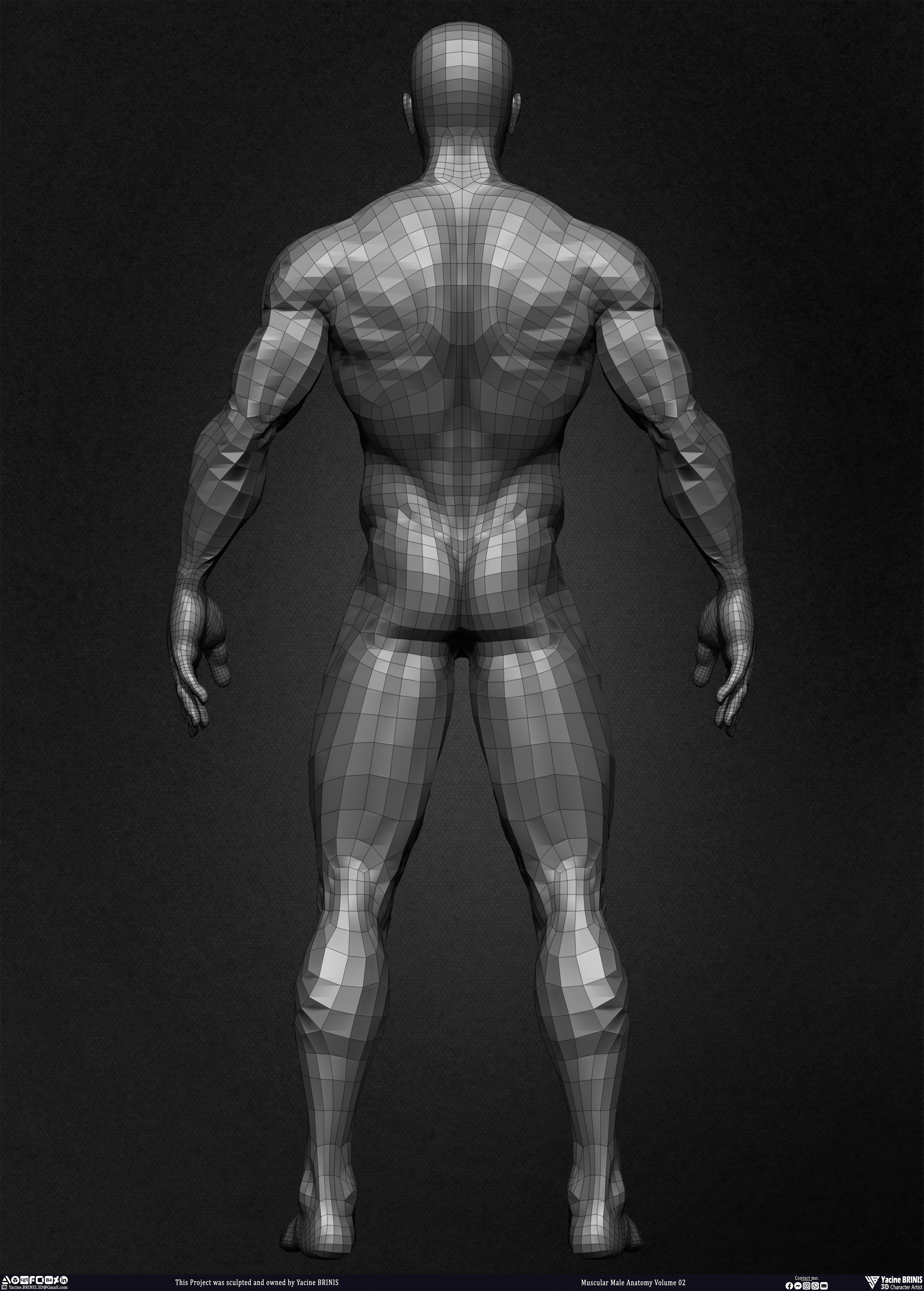 Muscular Male Anatomy Volume 2 3D Character sculpted by Yacine BRINIS 017