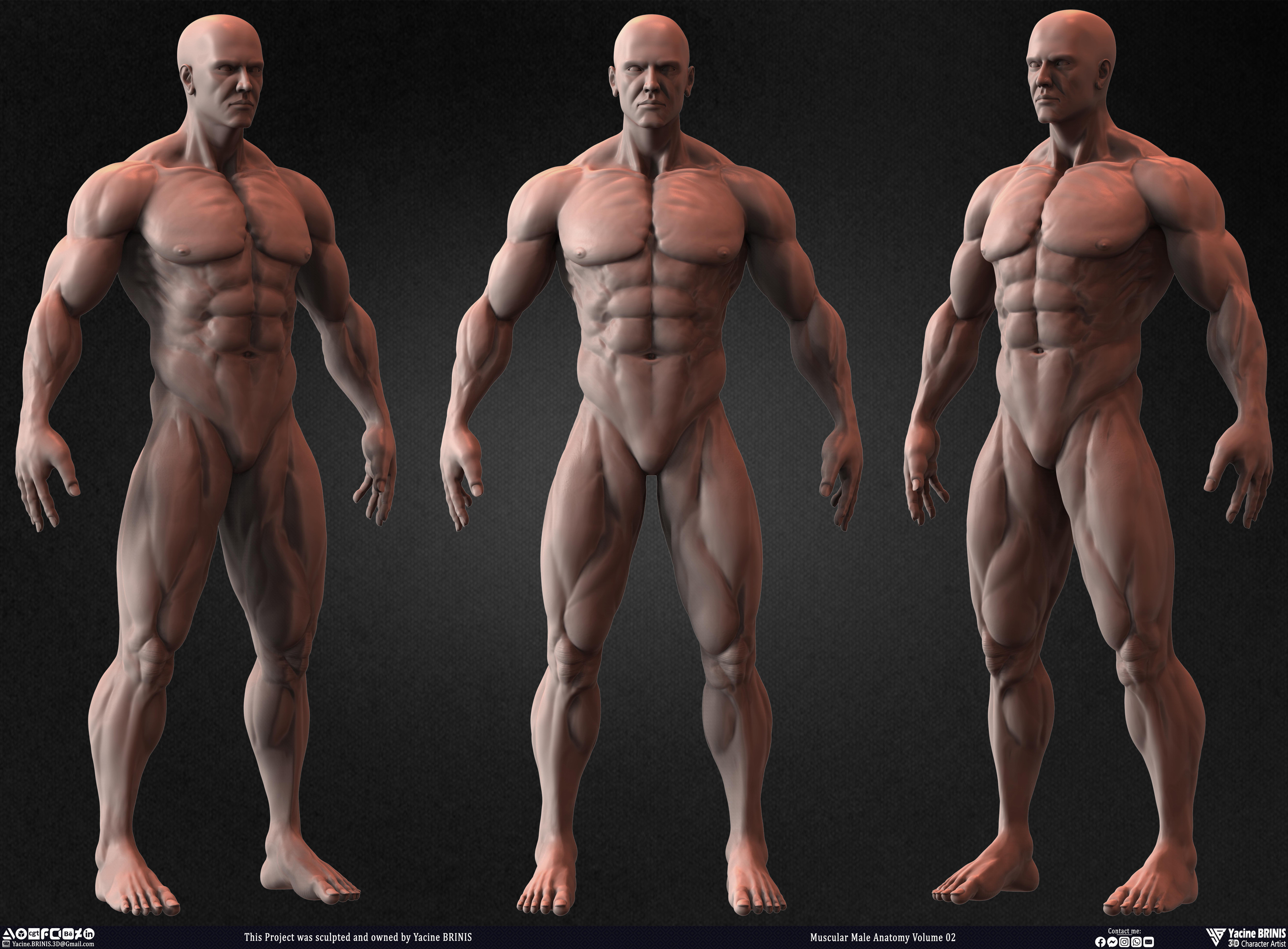 Muscular Male Anatomy Volume 2 3D Character sculpted by Yacine BRINIS 018