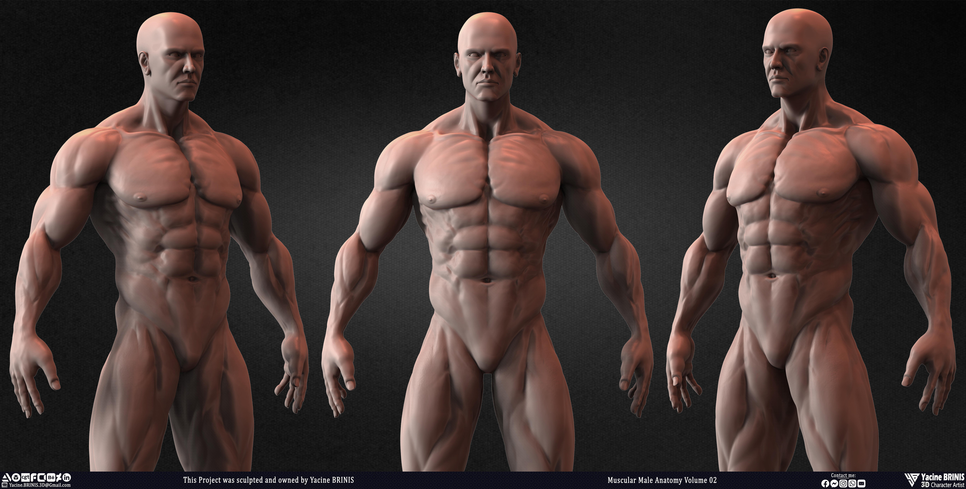 Muscular Male Anatomy Volume 2 3D Character sculpted by Yacine BRINIS 019