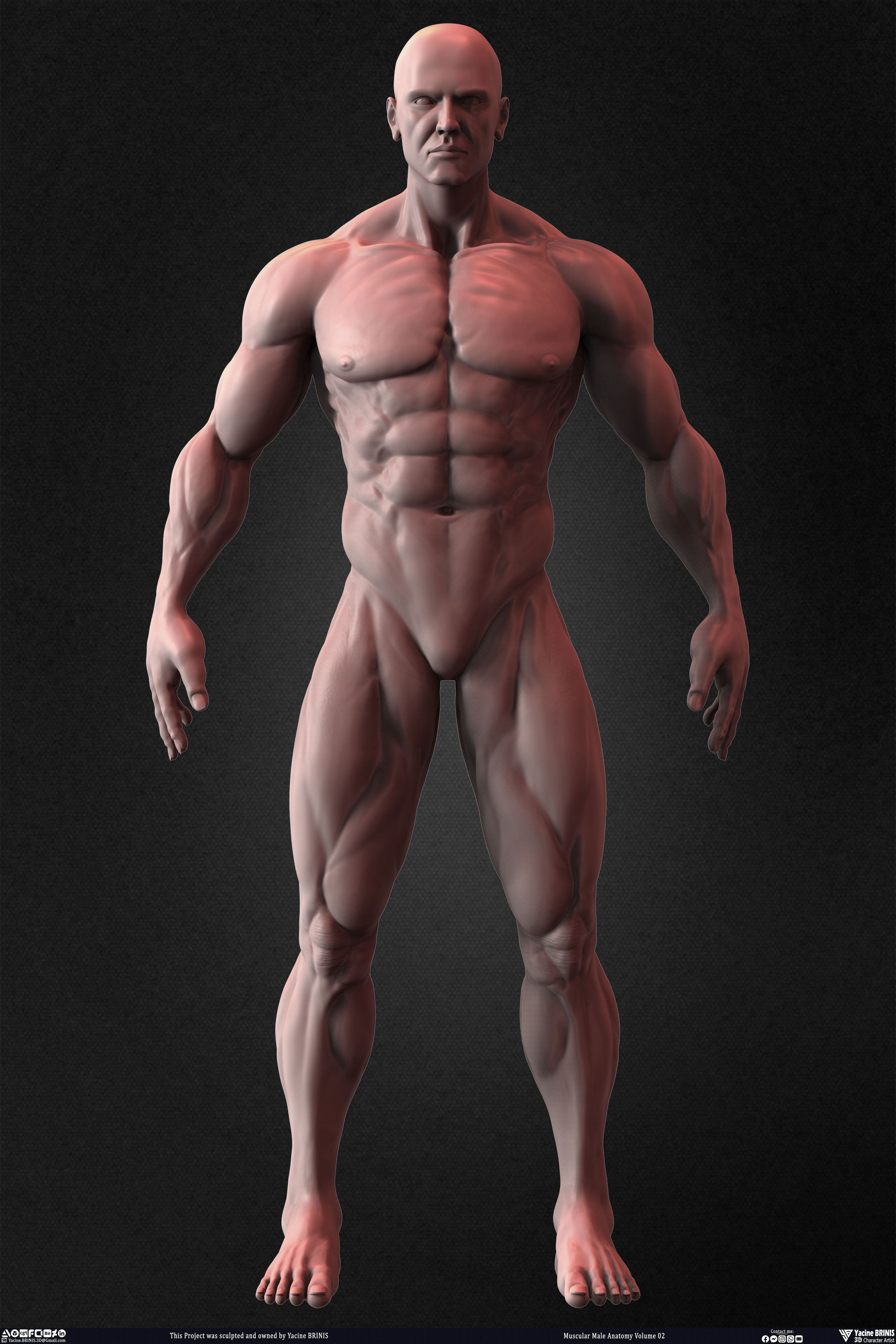 Muscular Male Anatomy Volume 2 3D Character sculpted by Yacine BRINIS 020