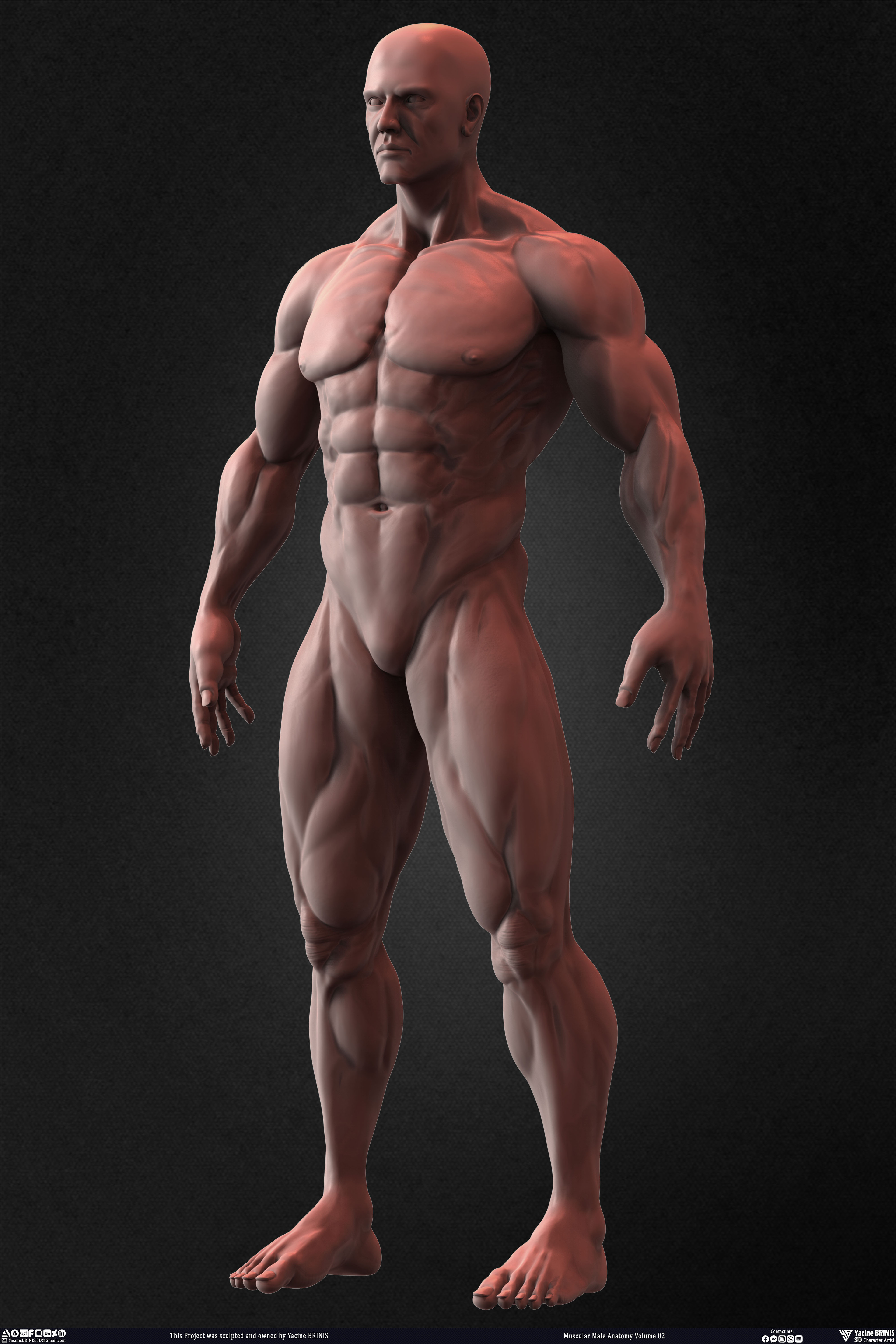 Muscular Male Anatomy Volume 2 3D Character sculpted by Yacine BRINIS 021