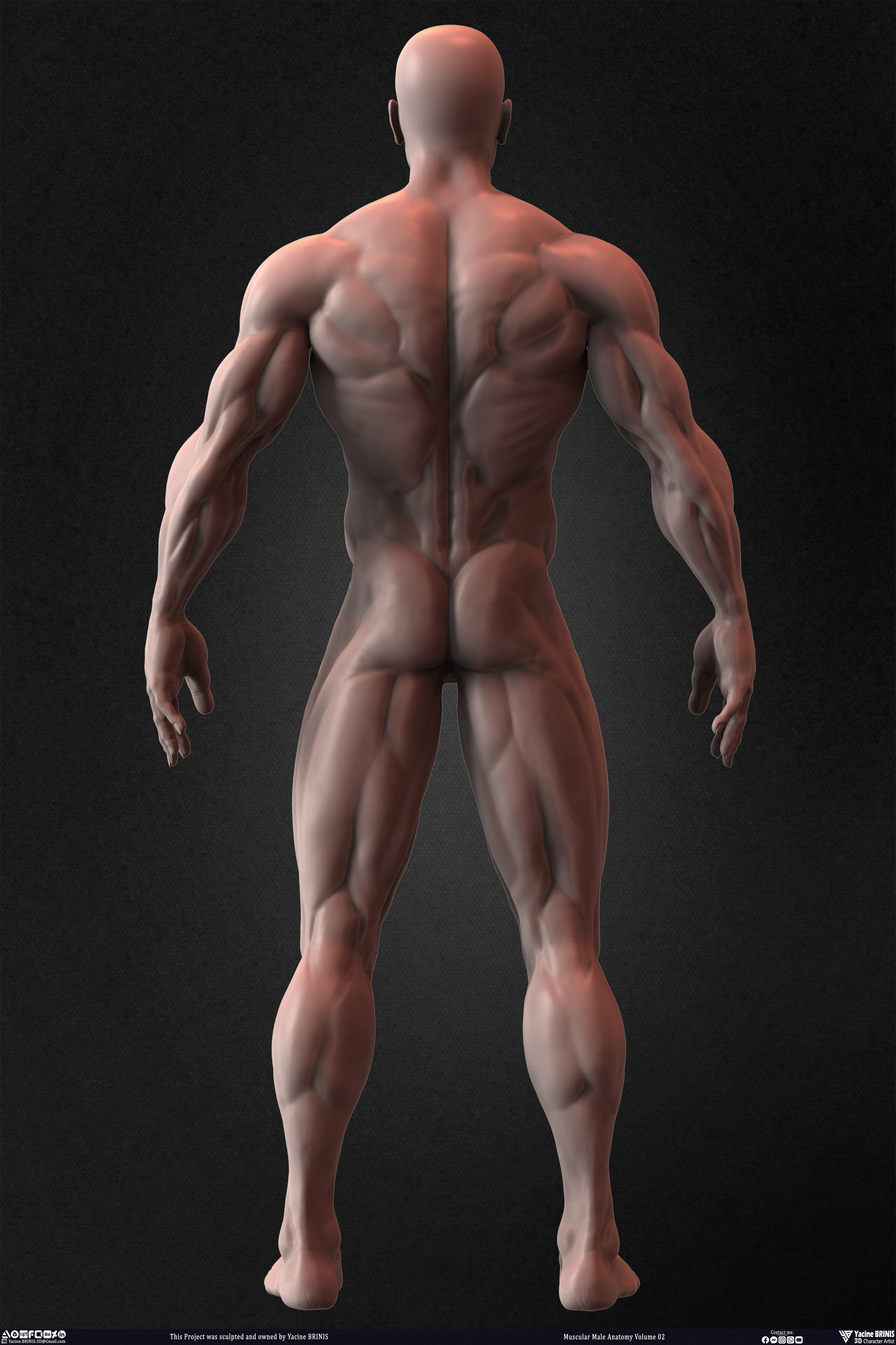 Muscular Male Anatomy Volume 2 3D Character sculpted by Yacine BRINIS 023