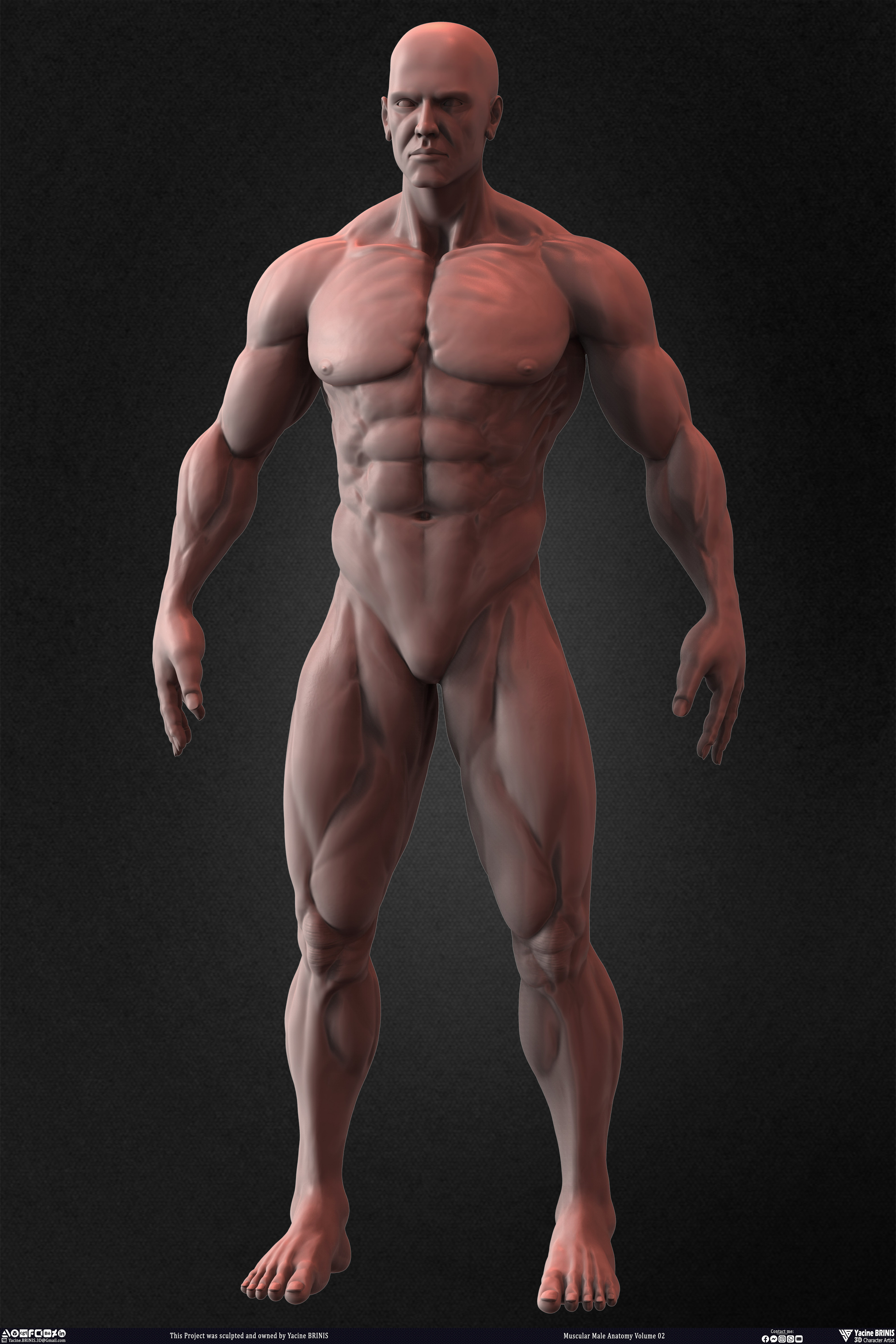 Muscular Male Anatomy Volume 2 3D Character sculpted by Yacine BRINIS 025