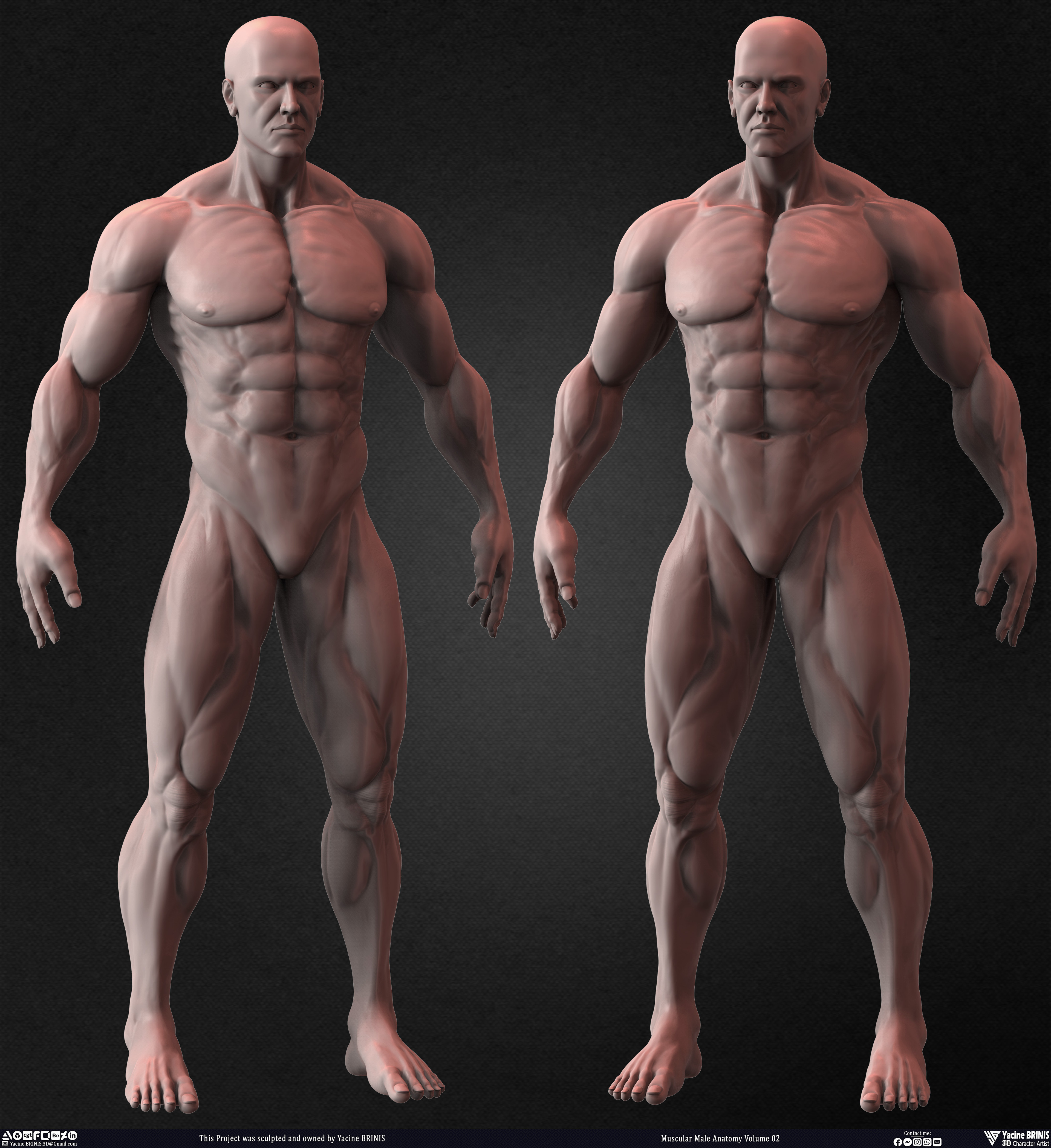 Muscular Male Anatomy Volume 2 3D Character sculpted by Yacine BRINIS 026