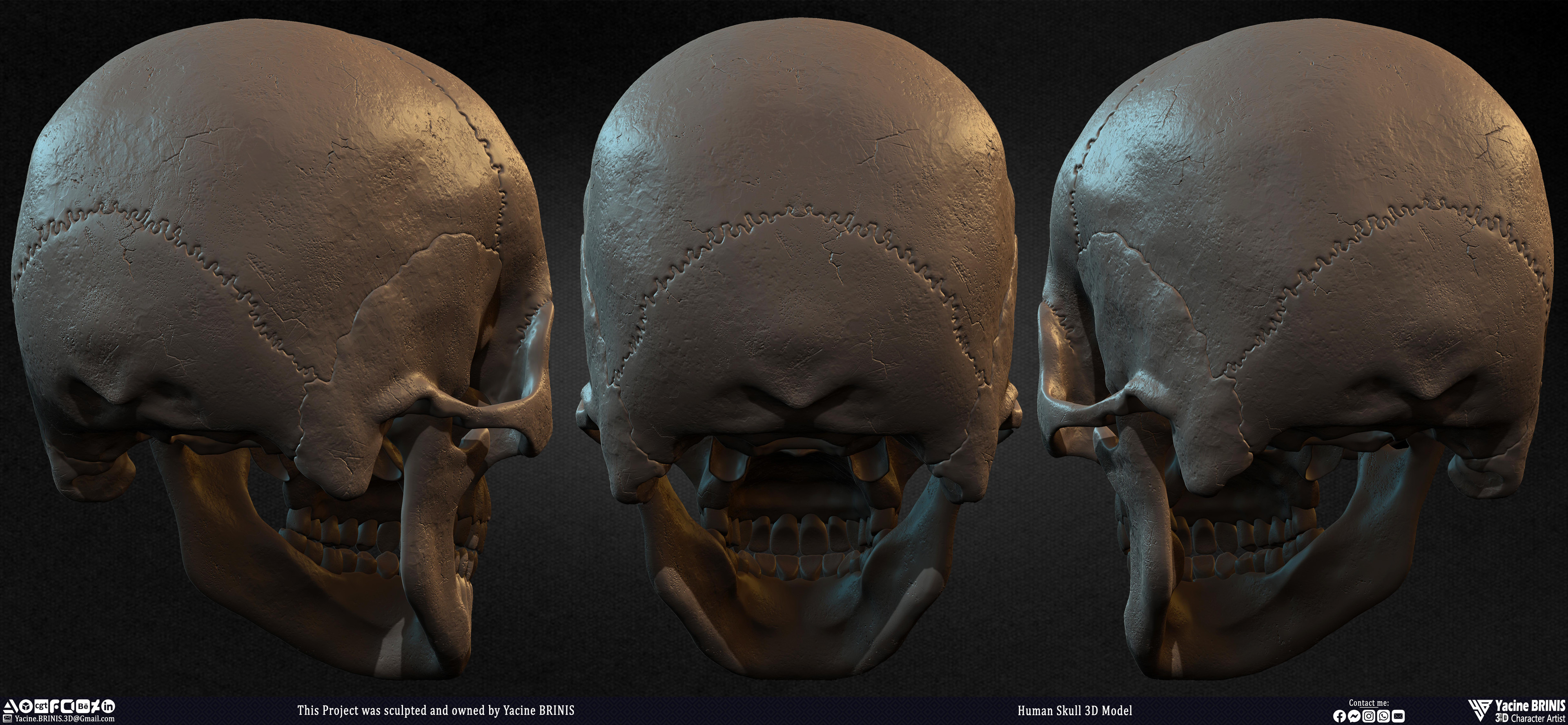 Human Skull 3D Model sculpted by Yacine BRINIS 002