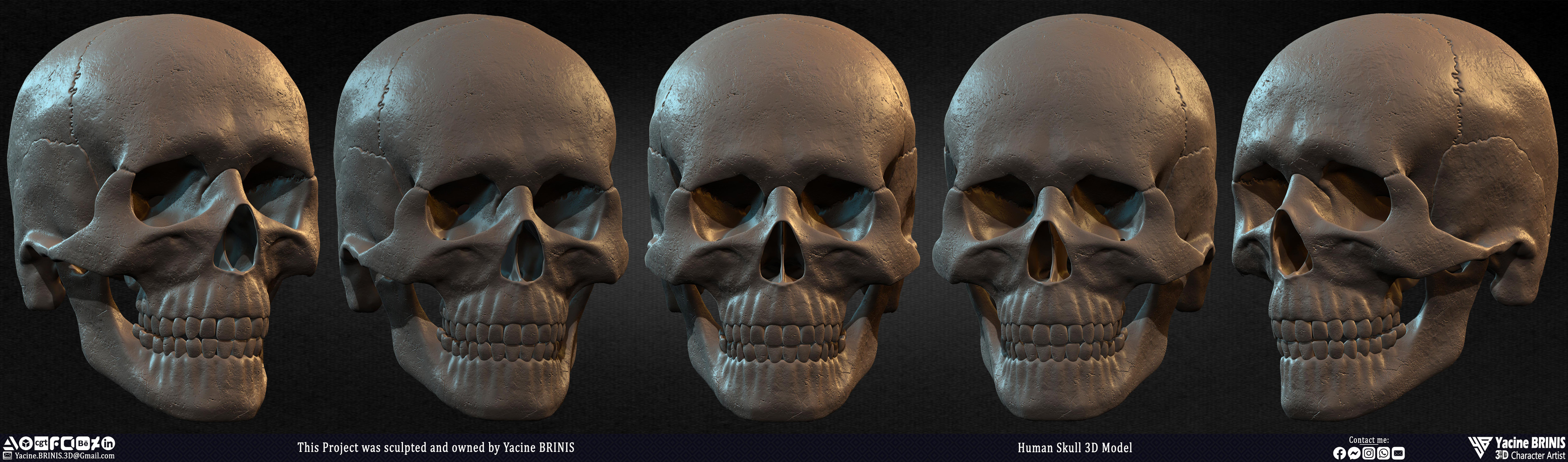 Human Skull 3D Model sculpted by Yacine BRINIS 003