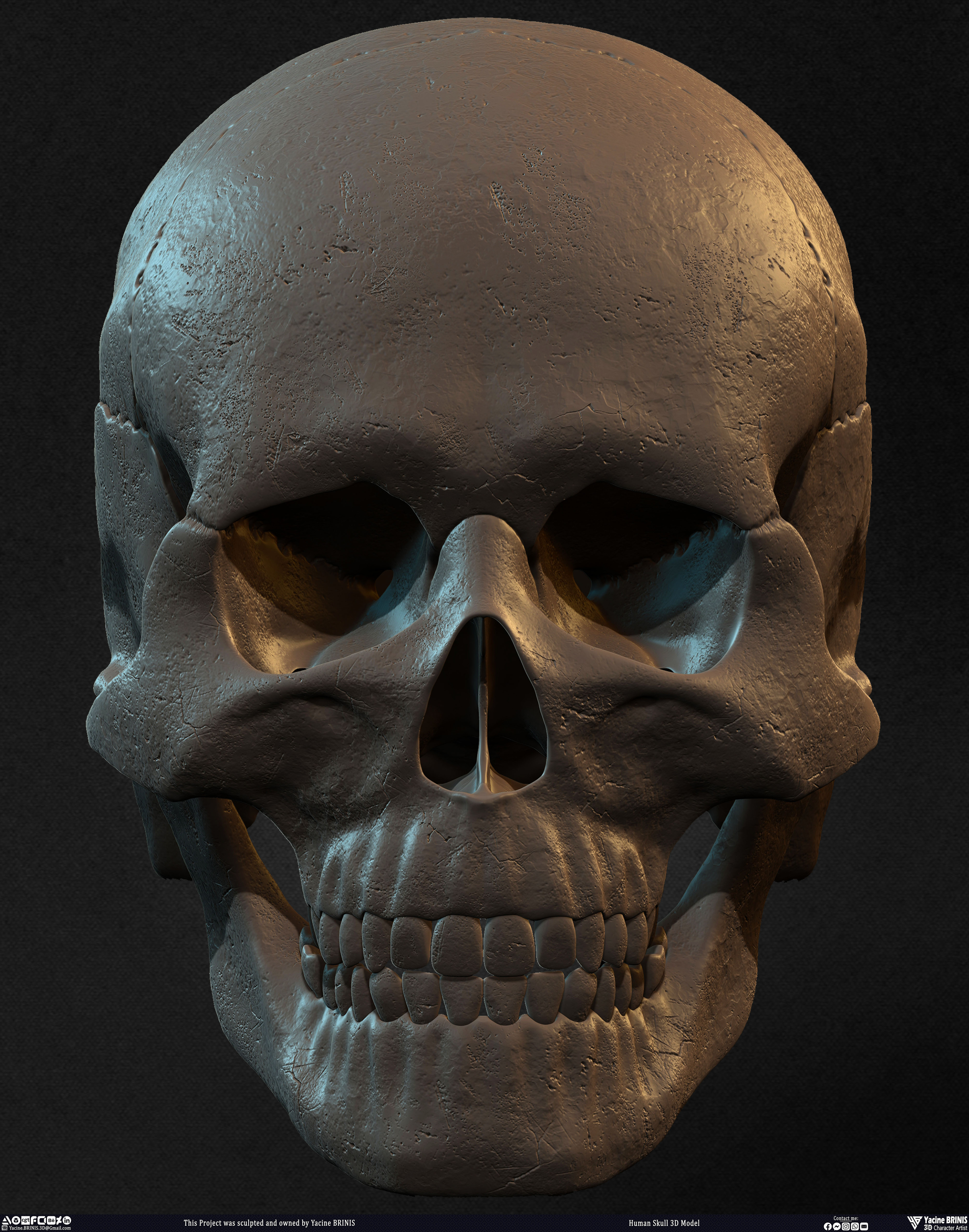 Human Skull 3D Model sculpted by Yacine BRINIS 006