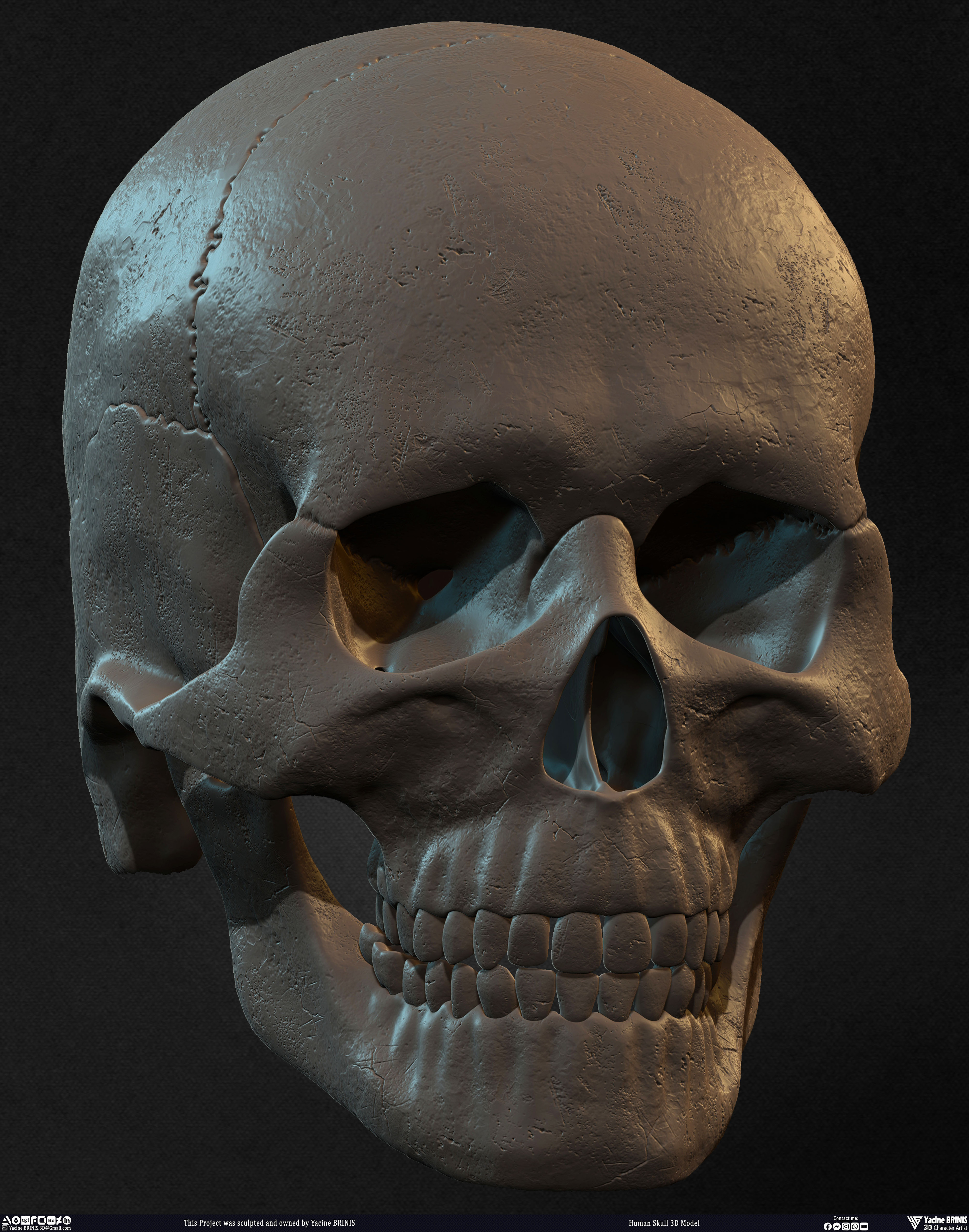 Human Skull 3D Model sculpted by Yacine BRINIS 007