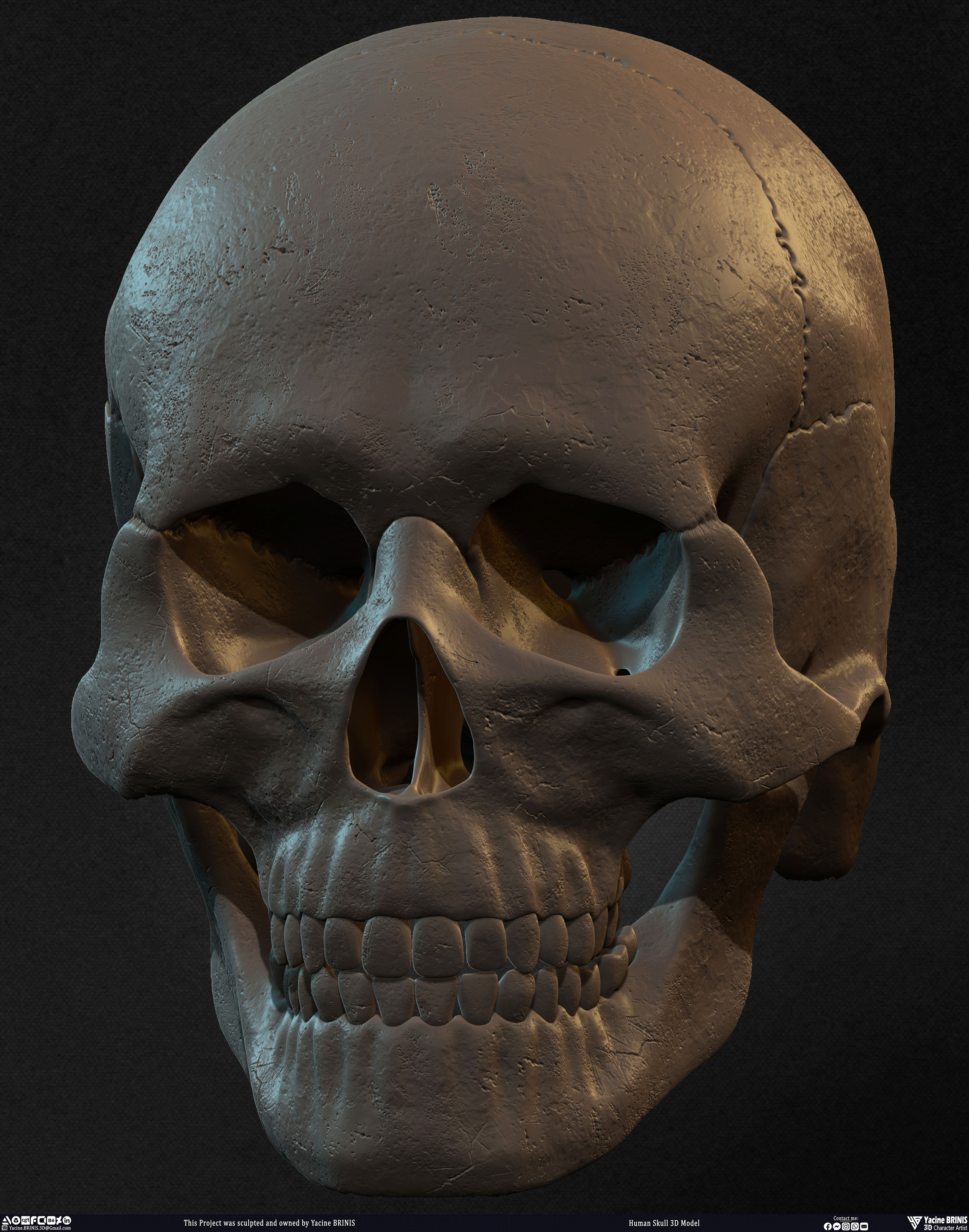 Human Skull 3D Model sculpted by Yacine BRINIS 008