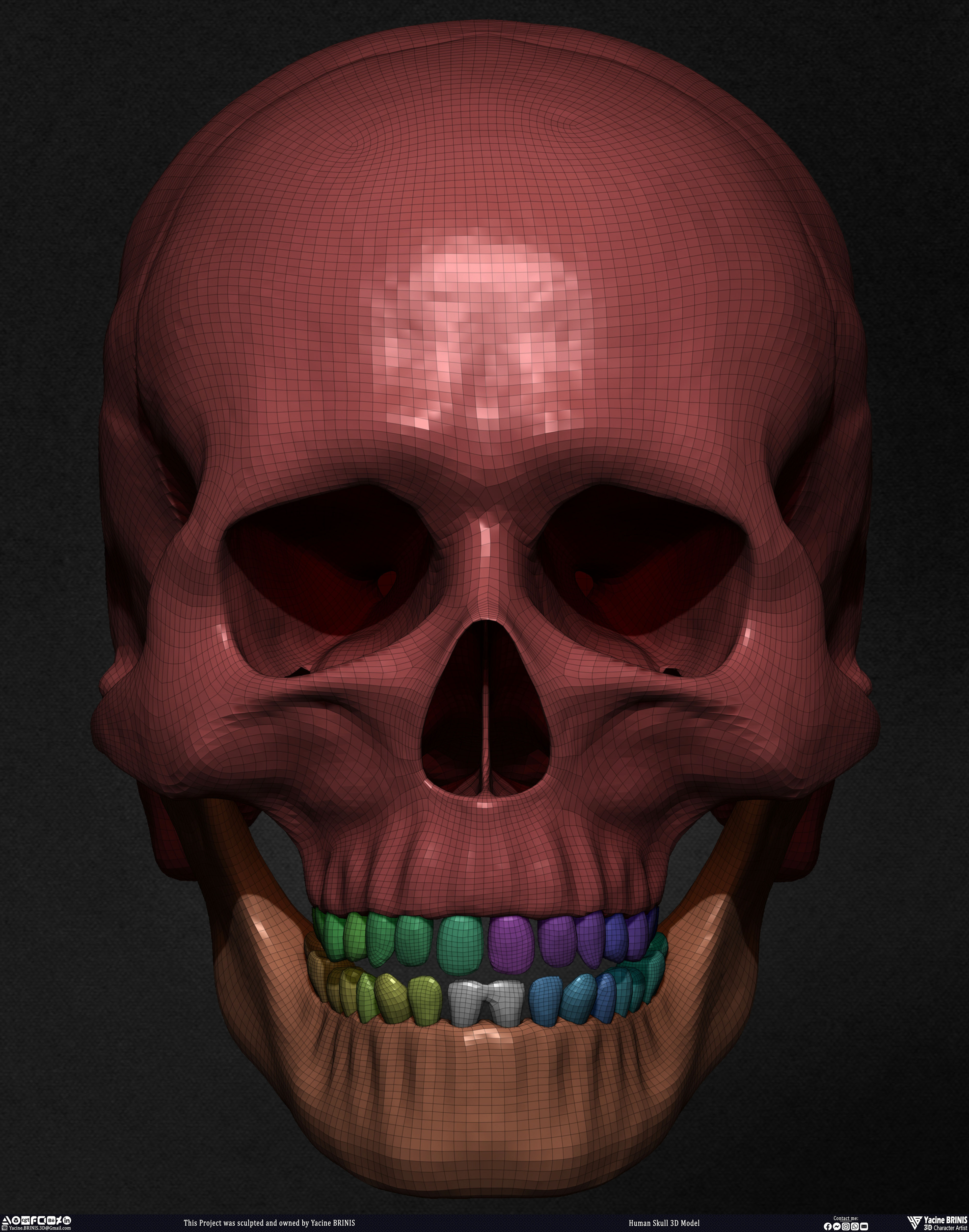 Human Skull 3D Model sculpted by Yacine BRINIS 009