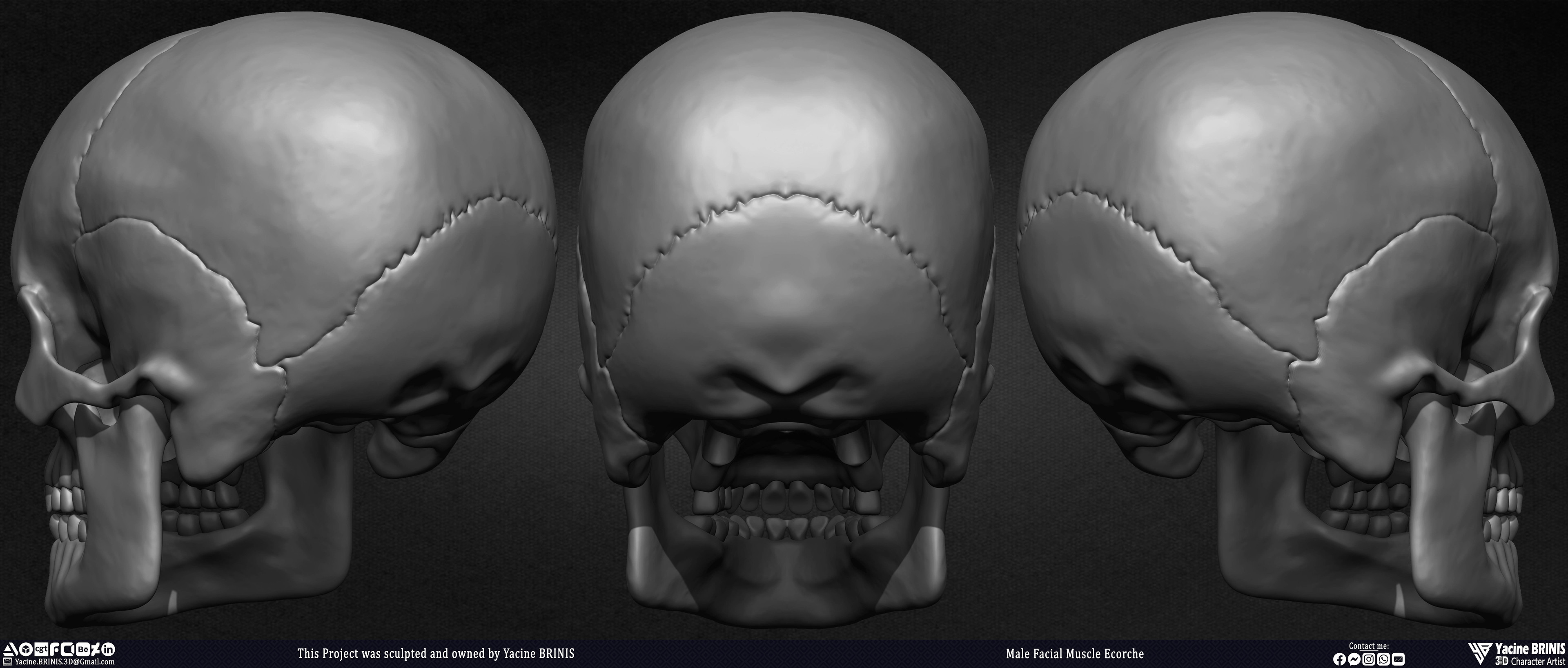 Male Facial Ecorche Human Anatomy sculpted by Yacine BRINIS 007