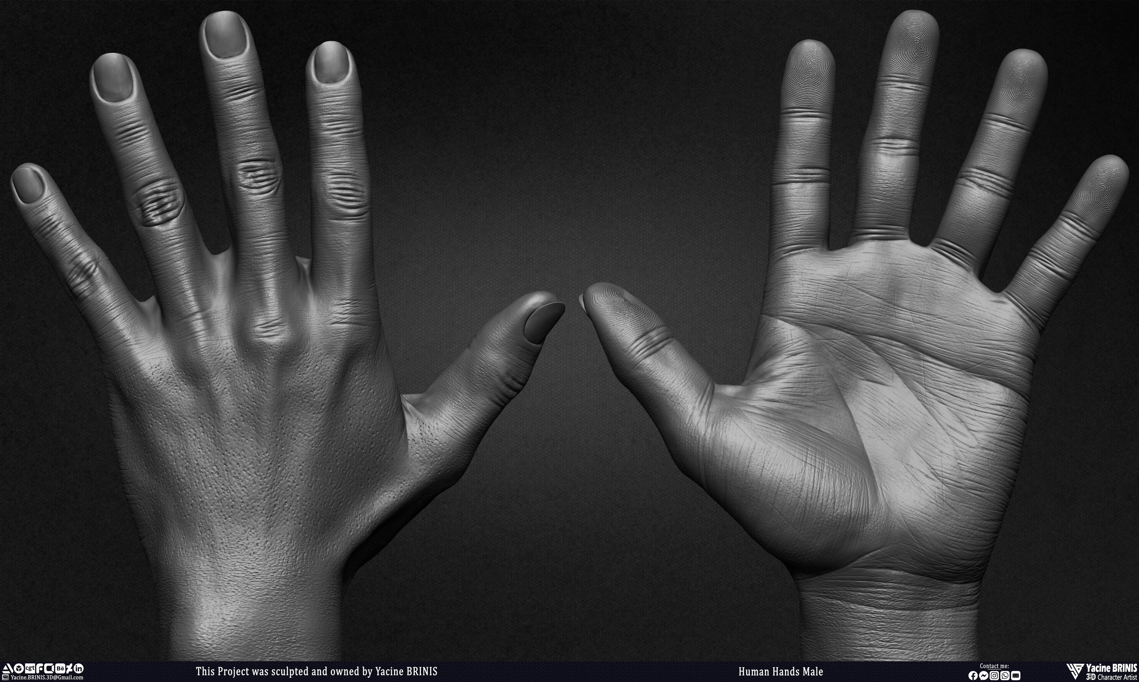Human Hands Male Basemesh 3D Model sculpted by Yacine BRINIS 001