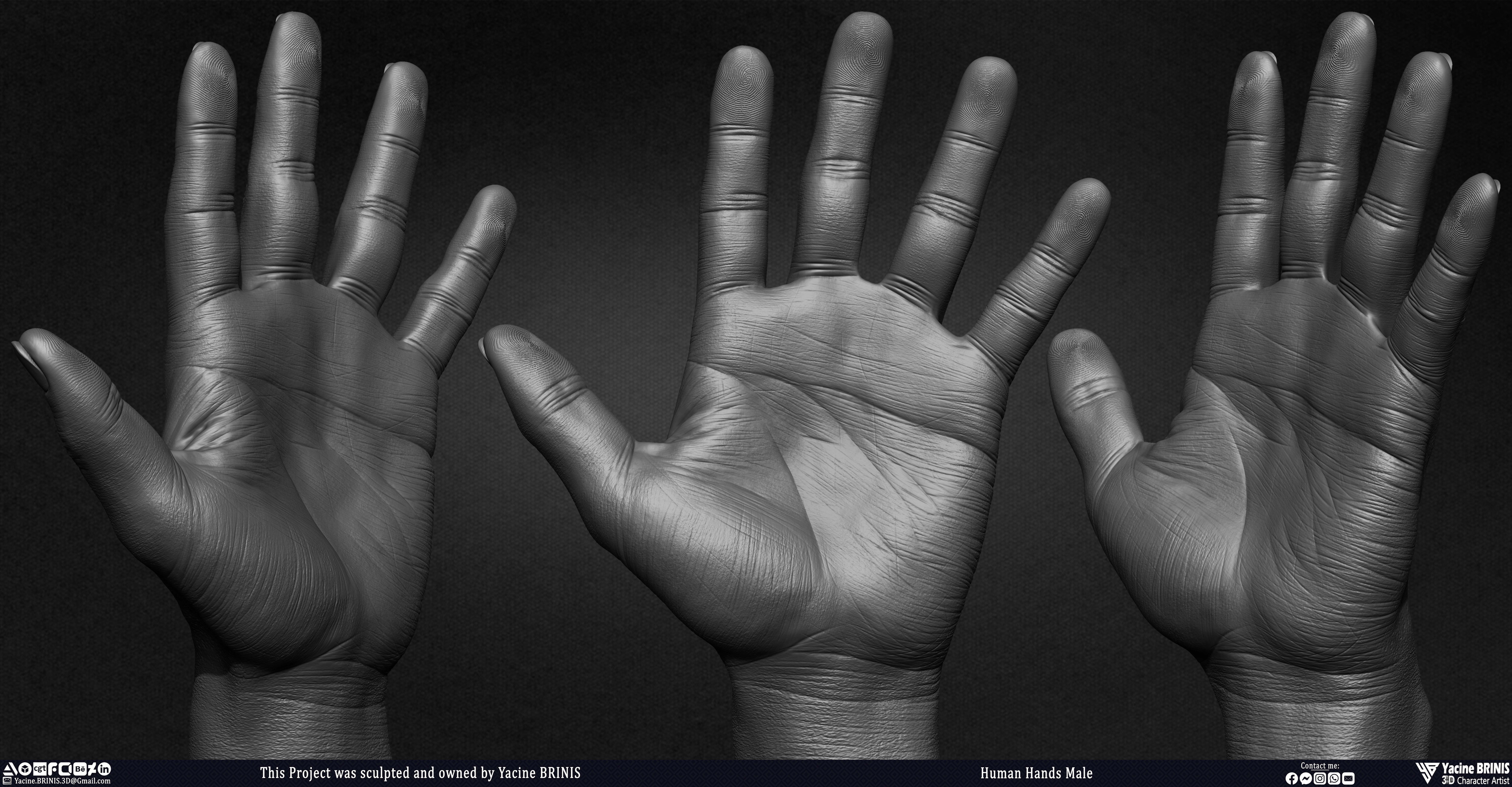 Human Hands Male Basemesh 3D Model sculpted by Yacine BRINIS 003