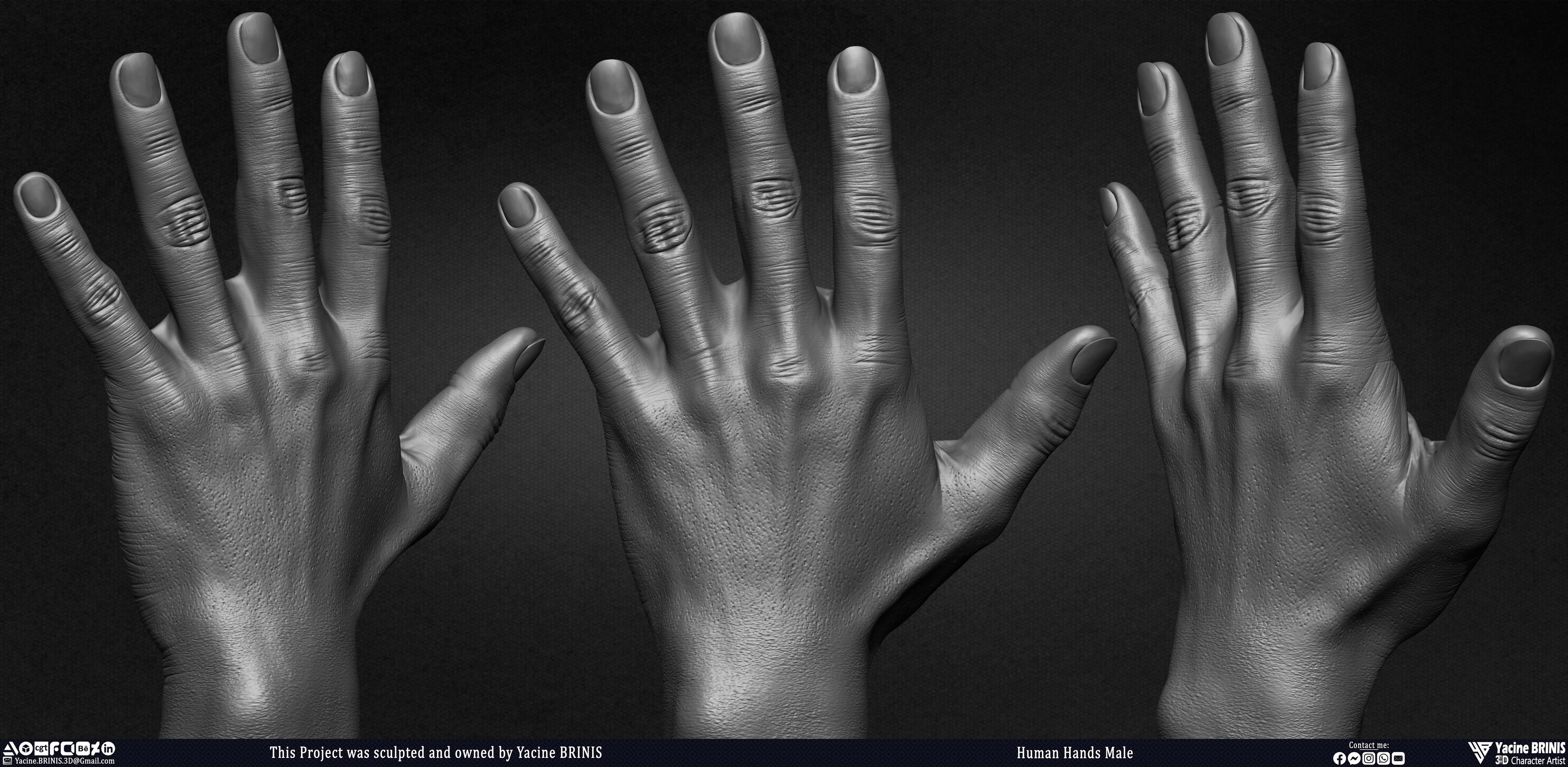 Human Hands Male Basemesh 3D Model sculpted by Yacine BRINIS 005