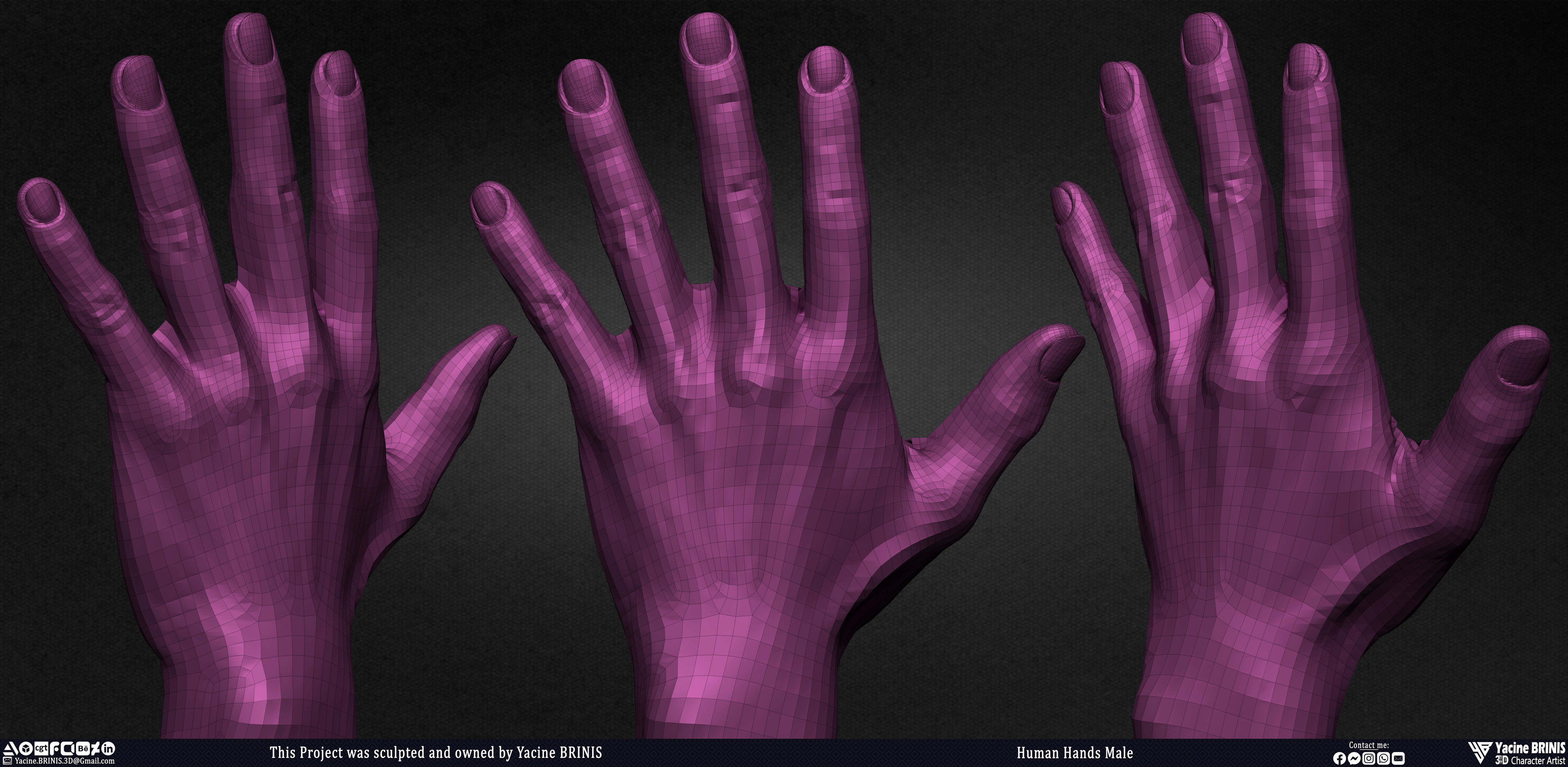 Human Hands Male Basemesh 3D Model sculpted by Yacine BRINIS 006