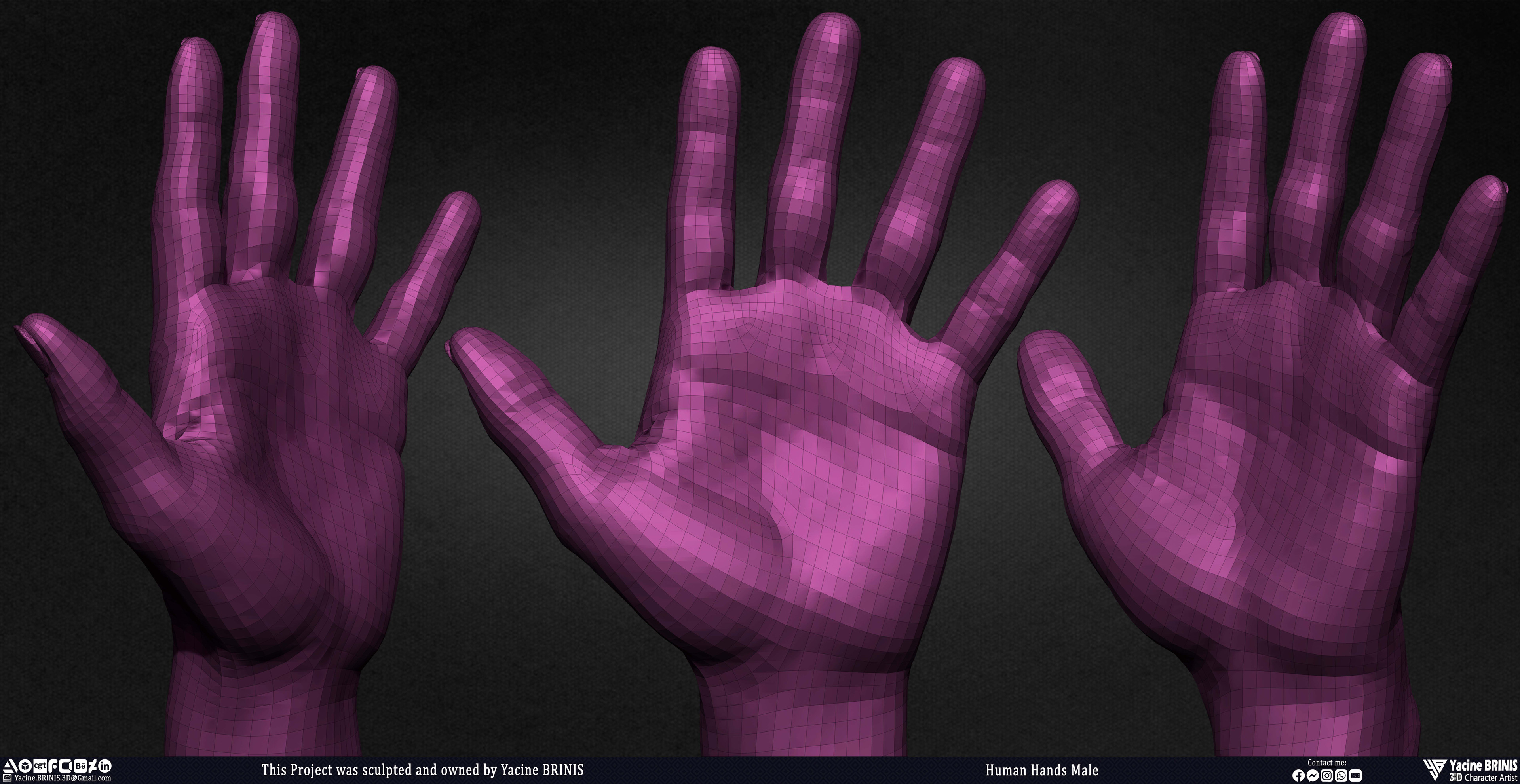 Human Hands Male Basemesh 3D Model sculpted by Yacine BRINIS 007