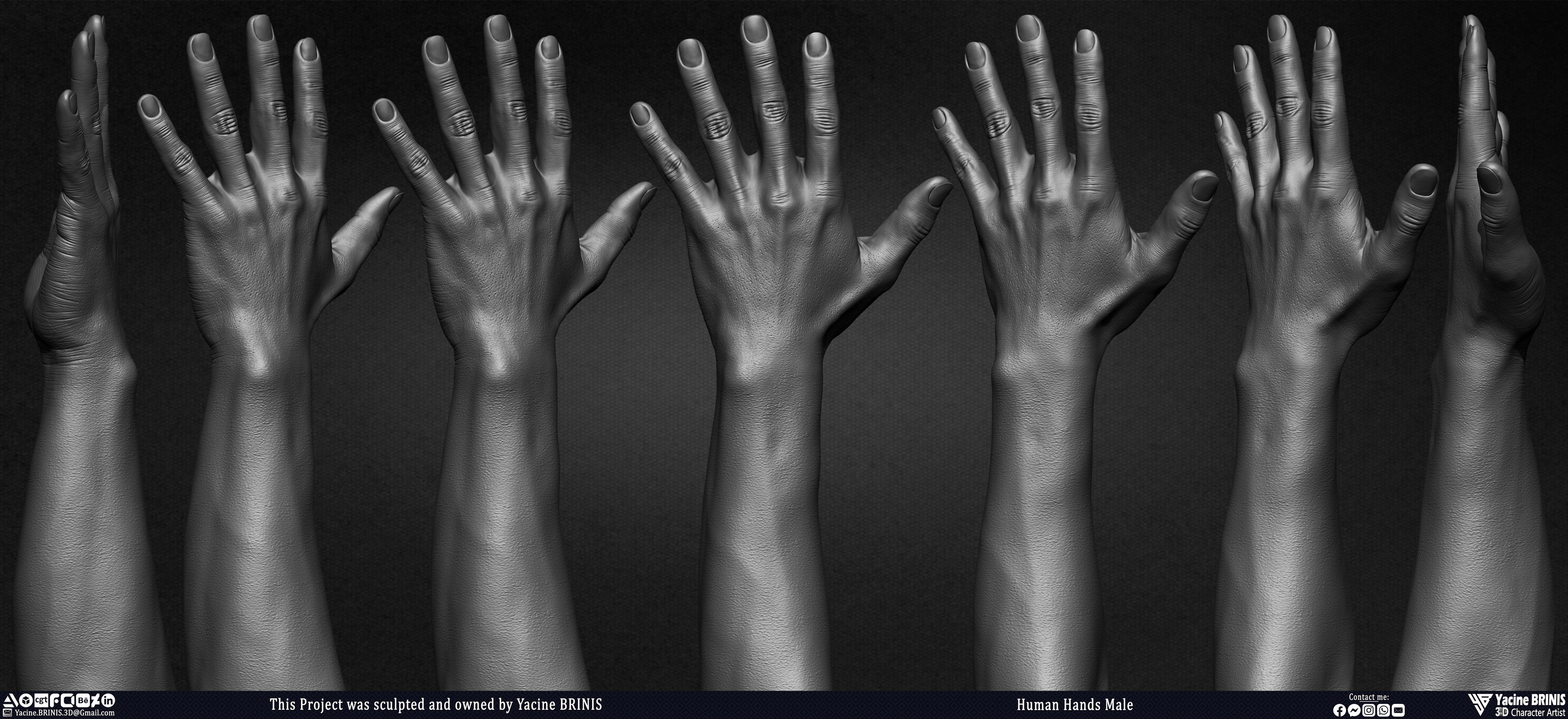Human Hands Male Basemesh 3D Model sculpted by Yacine BRINIS 008