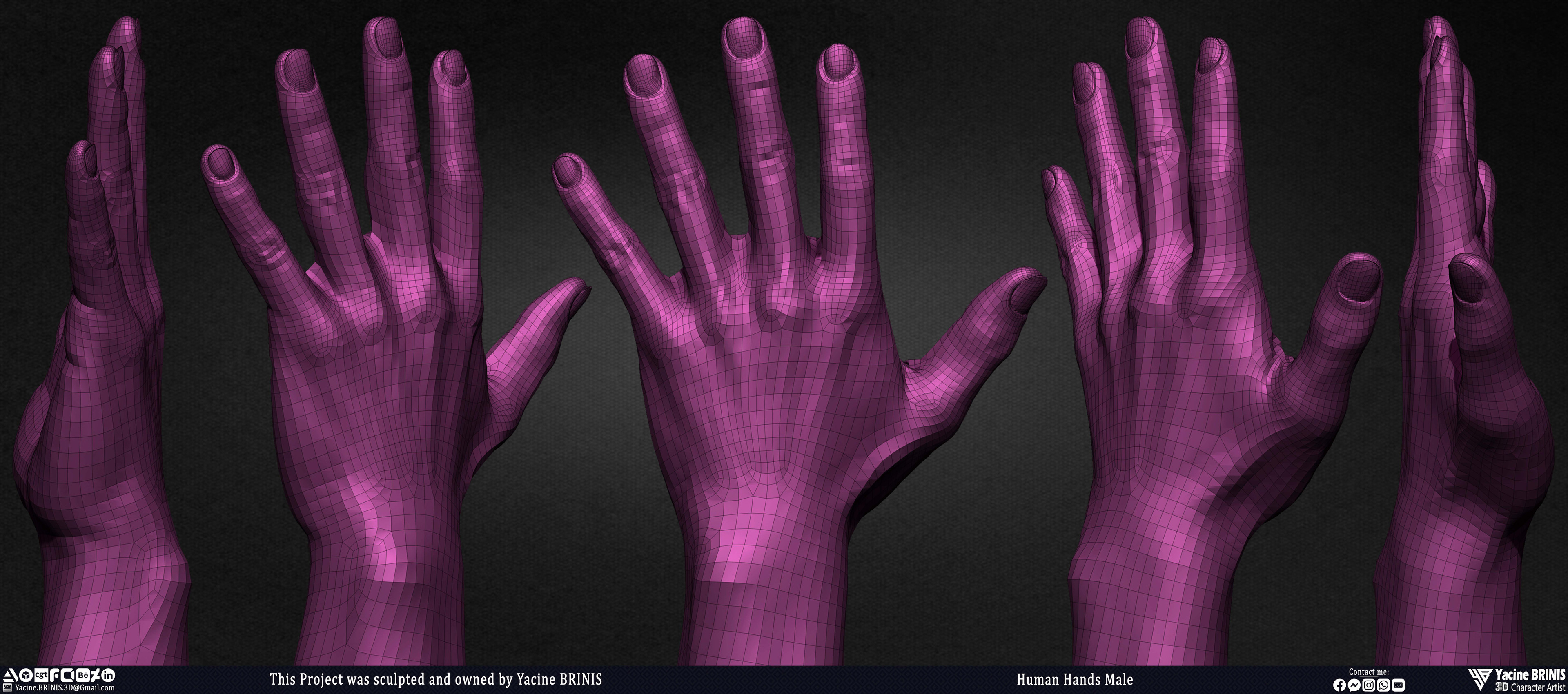 Human Hands Male Basemesh 3D Model sculpted by Yacine BRINIS 010