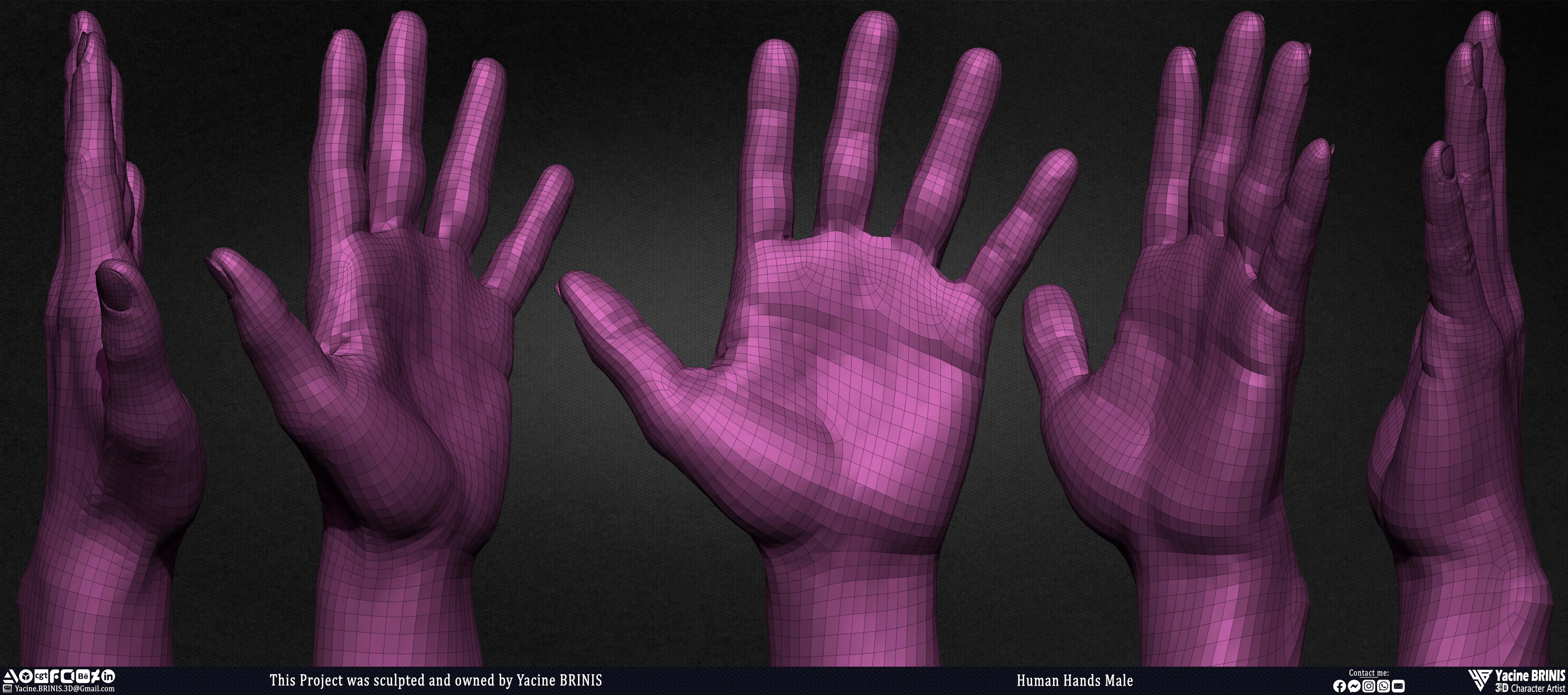Human Hands Male Basemesh 3D Model sculpted by Yacine BRINIS 011