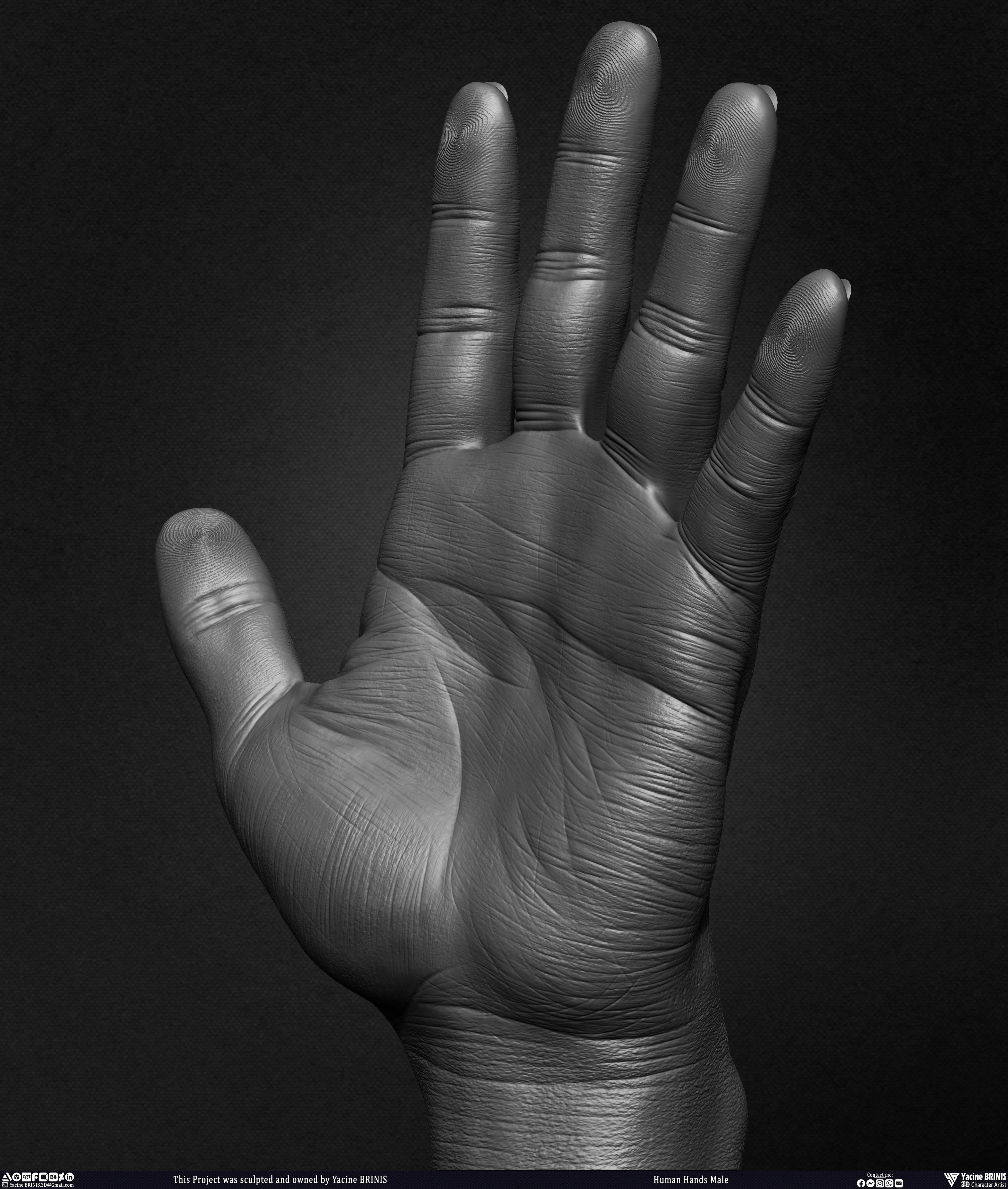 Human Hands Male Basemesh 3D Model sculpted by Yacine BRINIS 013