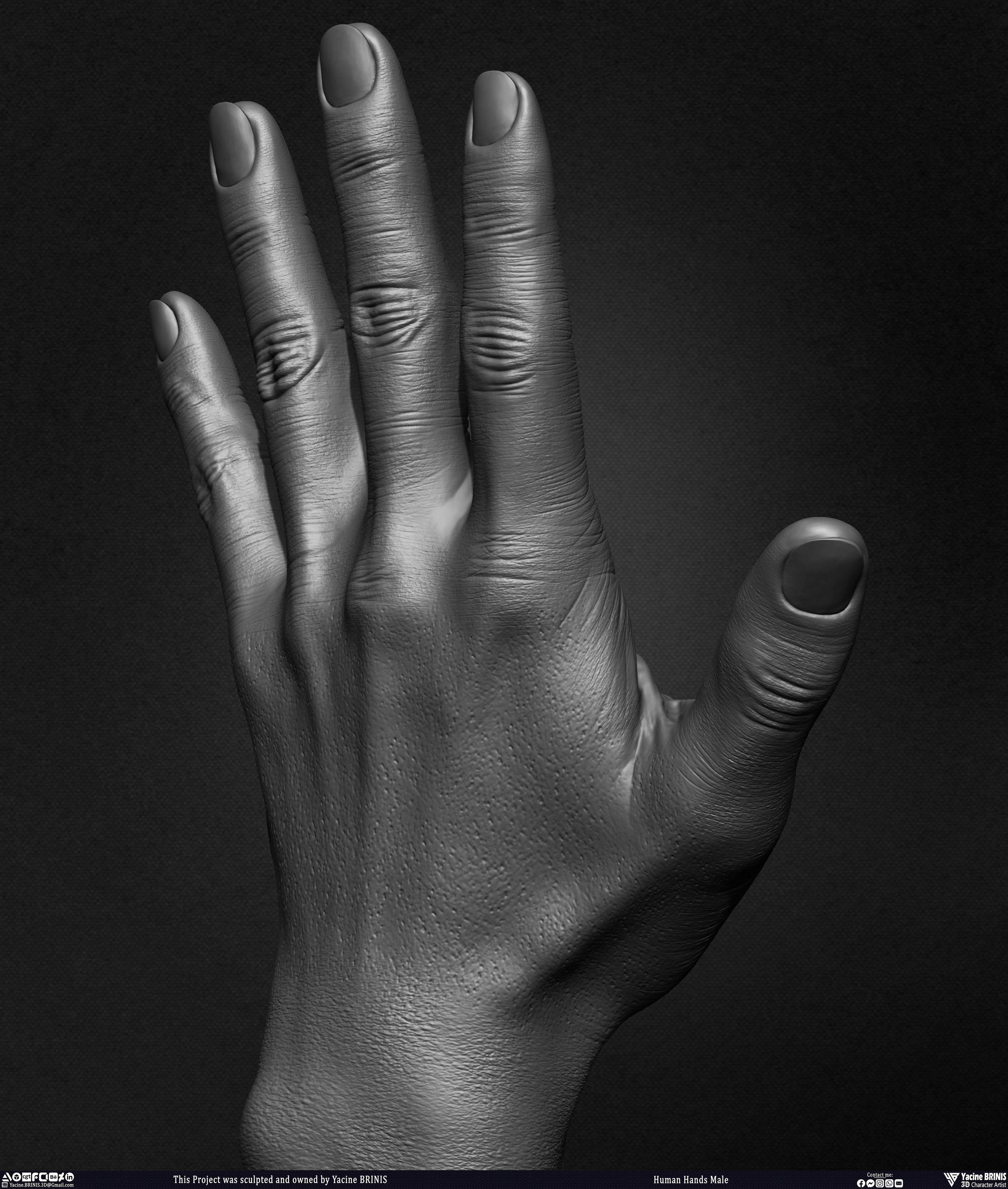 Human Hands Male Basemesh 3D Model sculpted by Yacine BRINIS 016