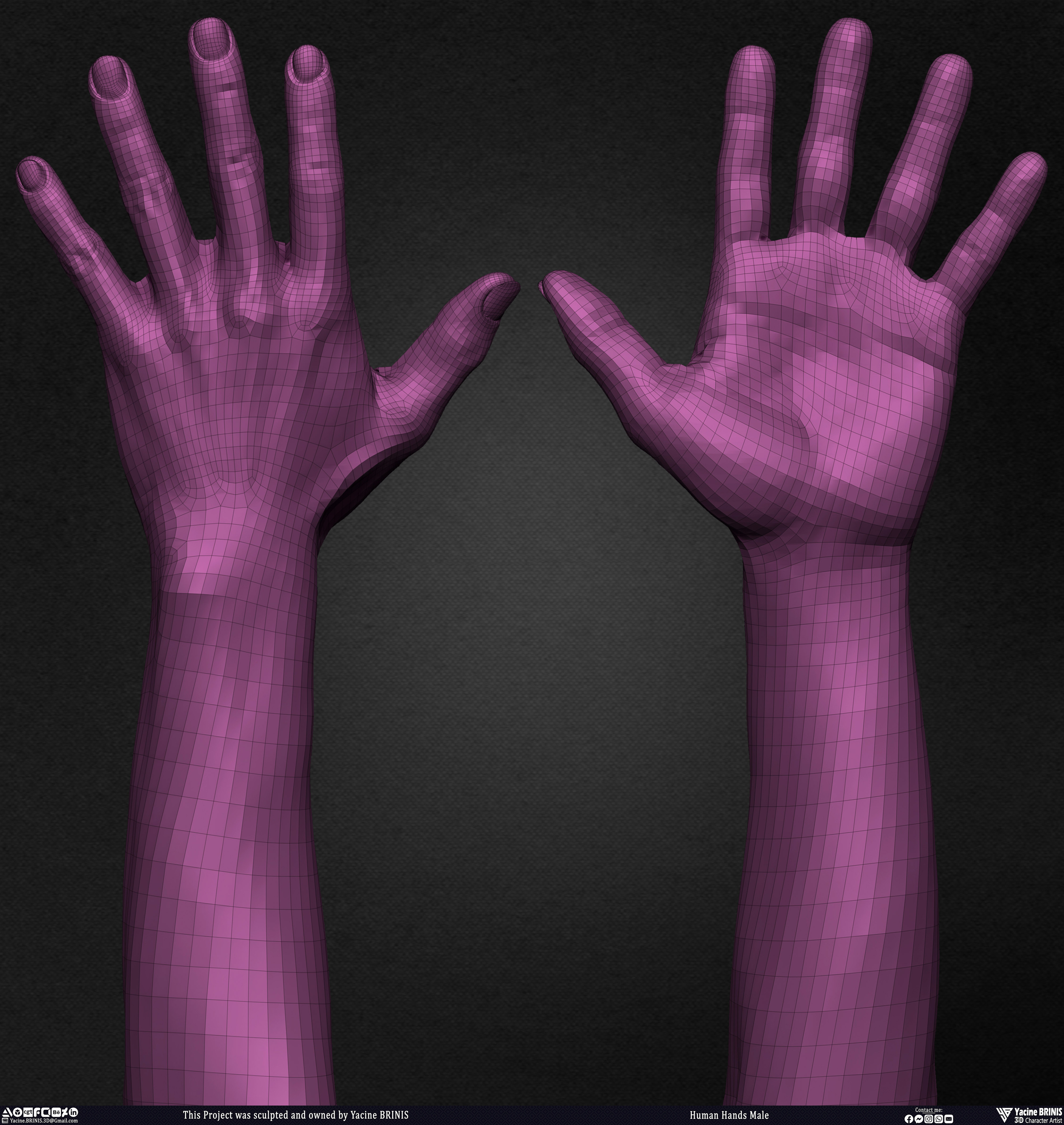 Human Hands Male Basemesh 3D Model sculpted by Yacine BRINIS 026