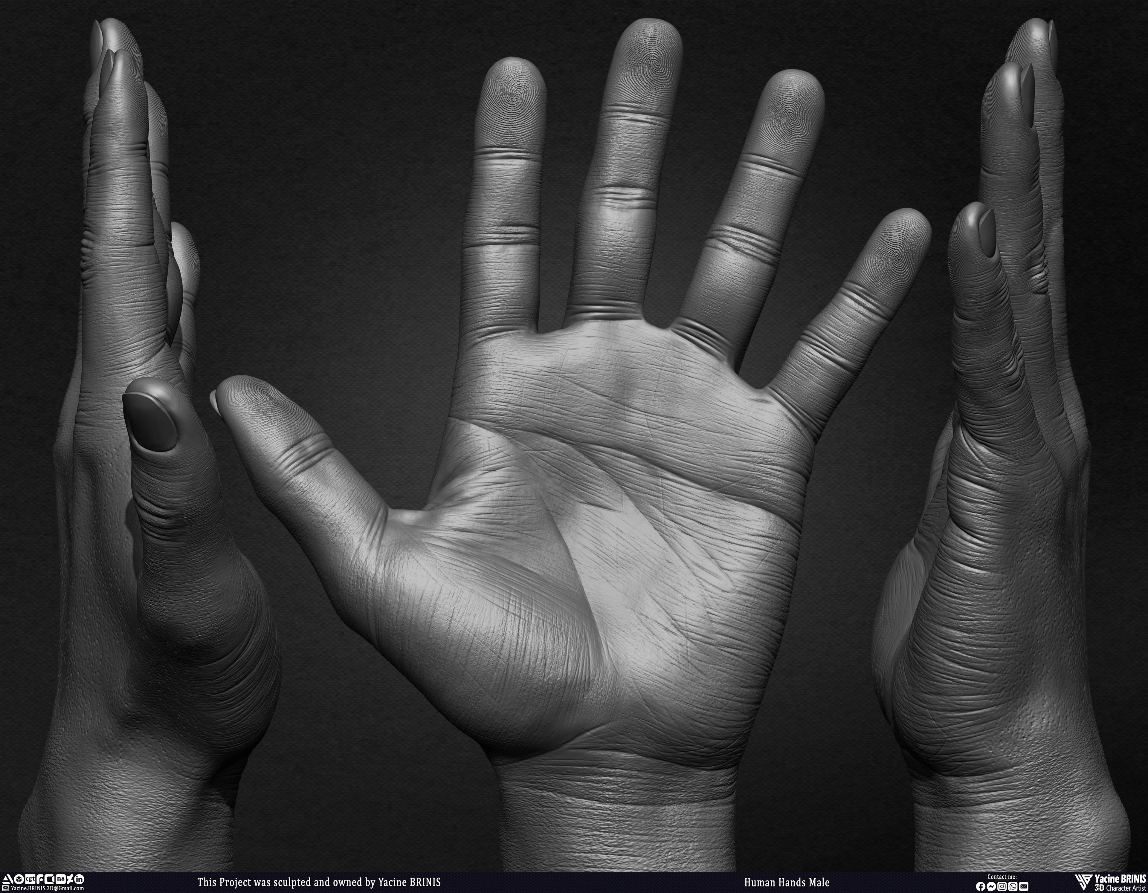 Human Hands Male Basemesh 3D Model sculpted by Yacine BRINIS 027