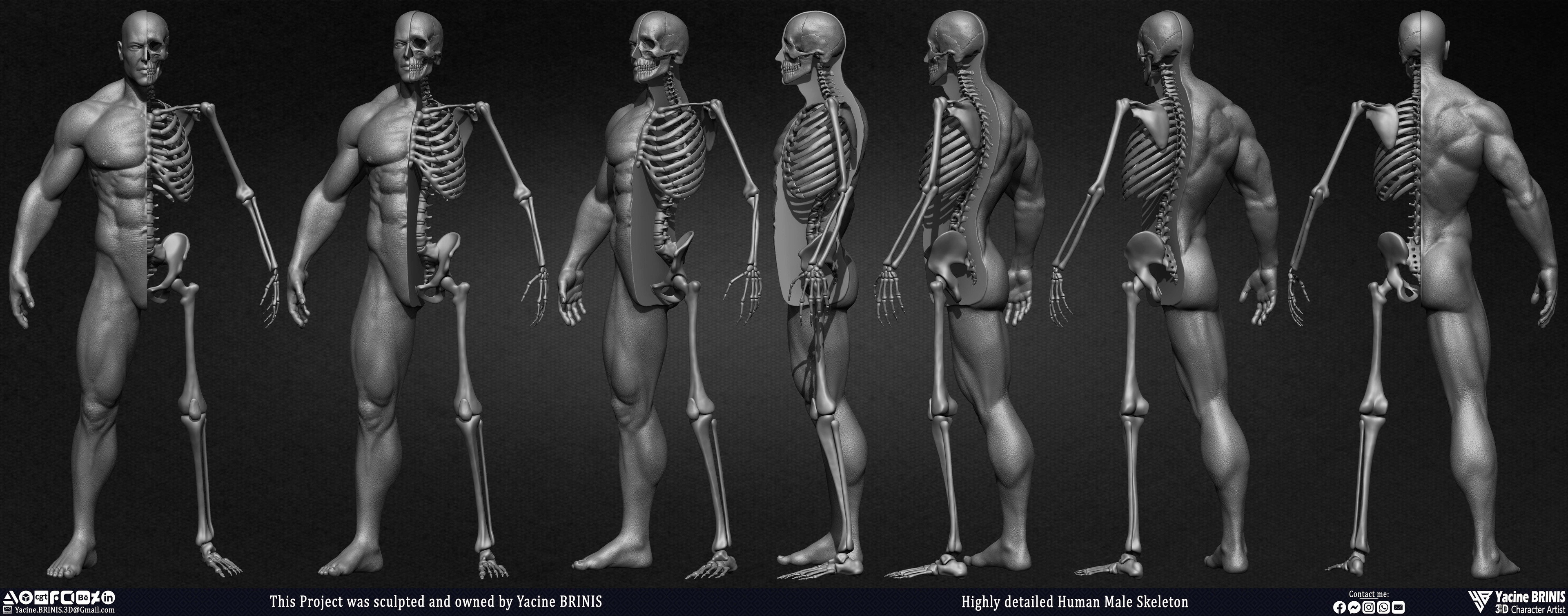 Highly Detailed Human Skeleton 3D Model sculpted by Yacine BRINIS 004