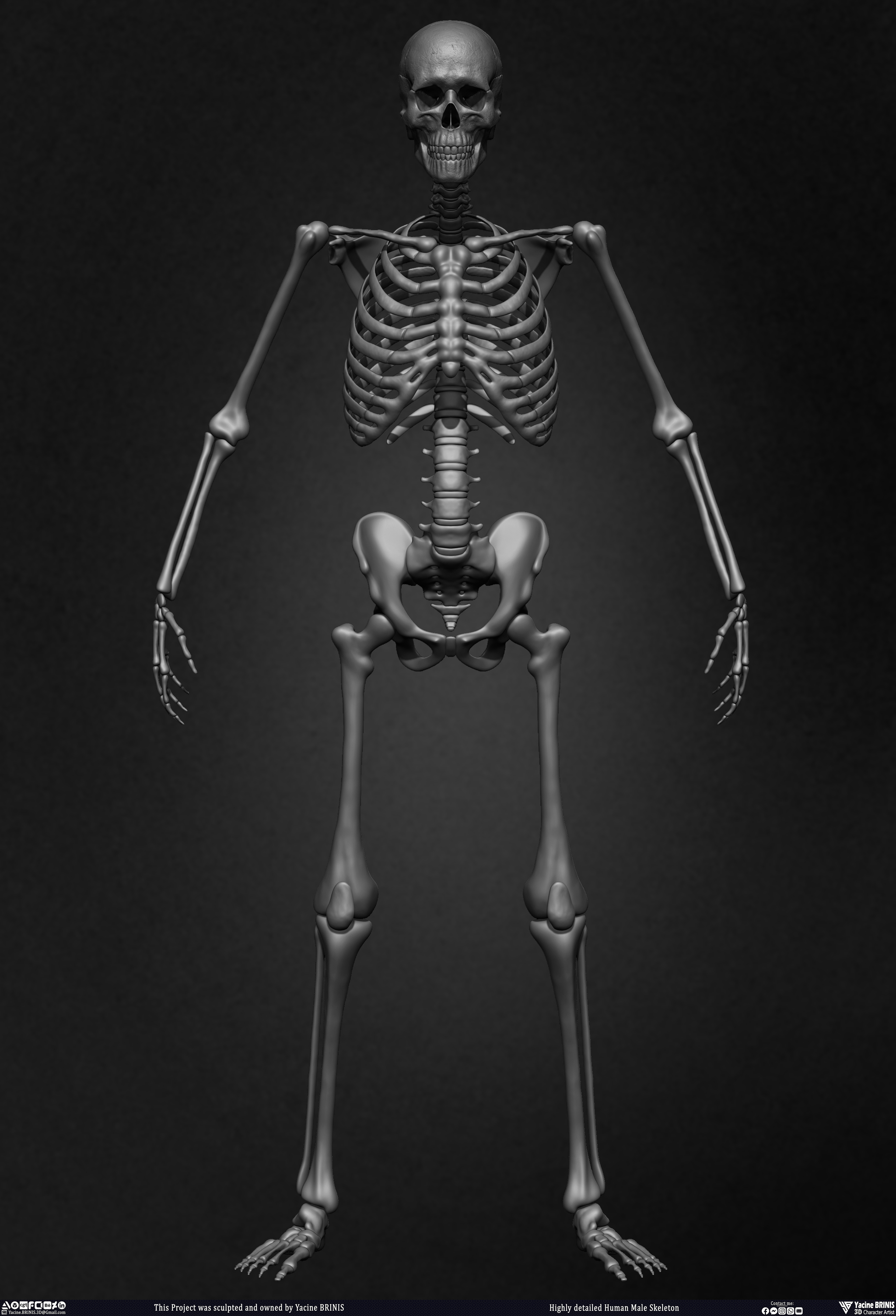 Highly Detailed Human Skeleton 3D Model sculpted by Yacine BRINIS 008