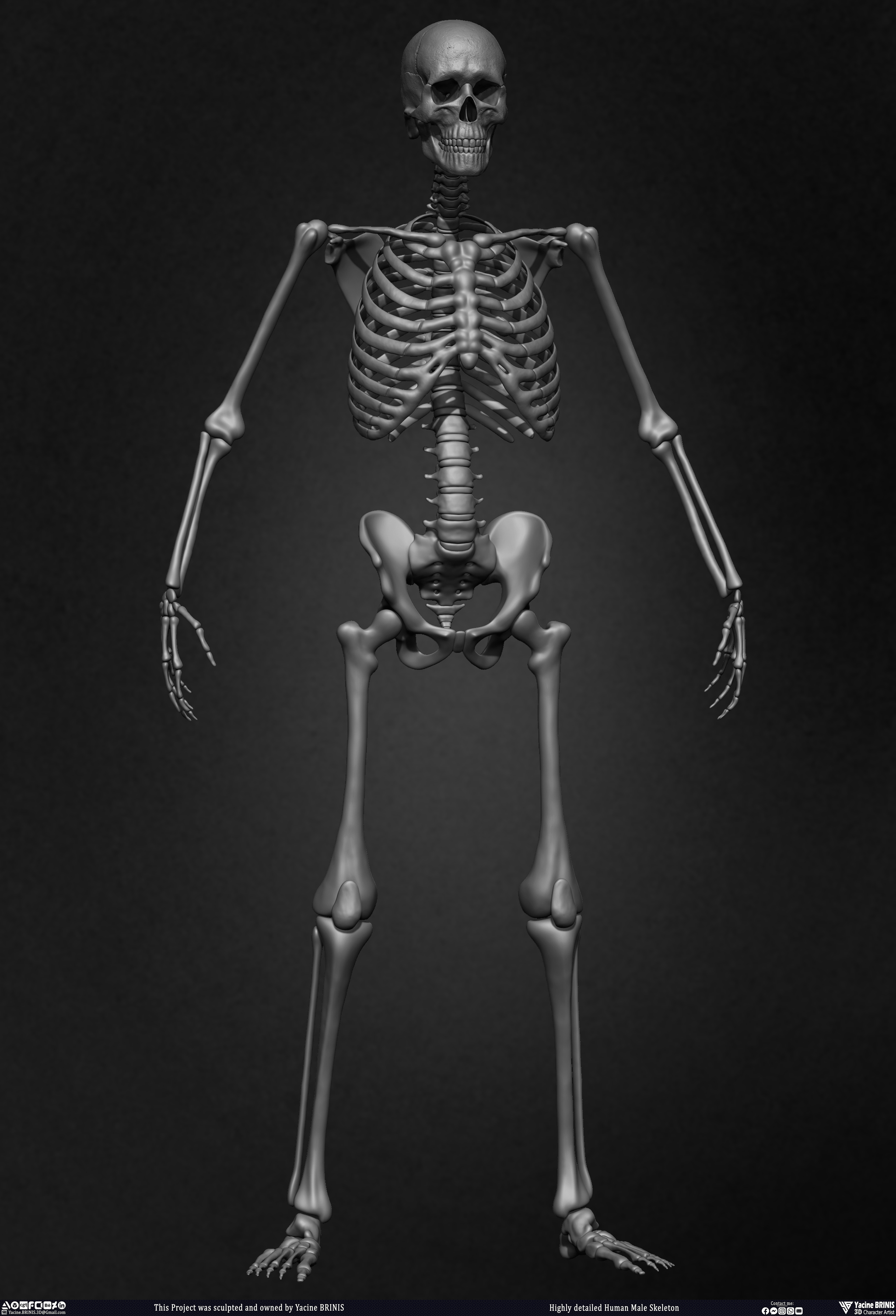 Highly Detailed Human Skeleton 3D Model sculpted by Yacine BRINIS 014