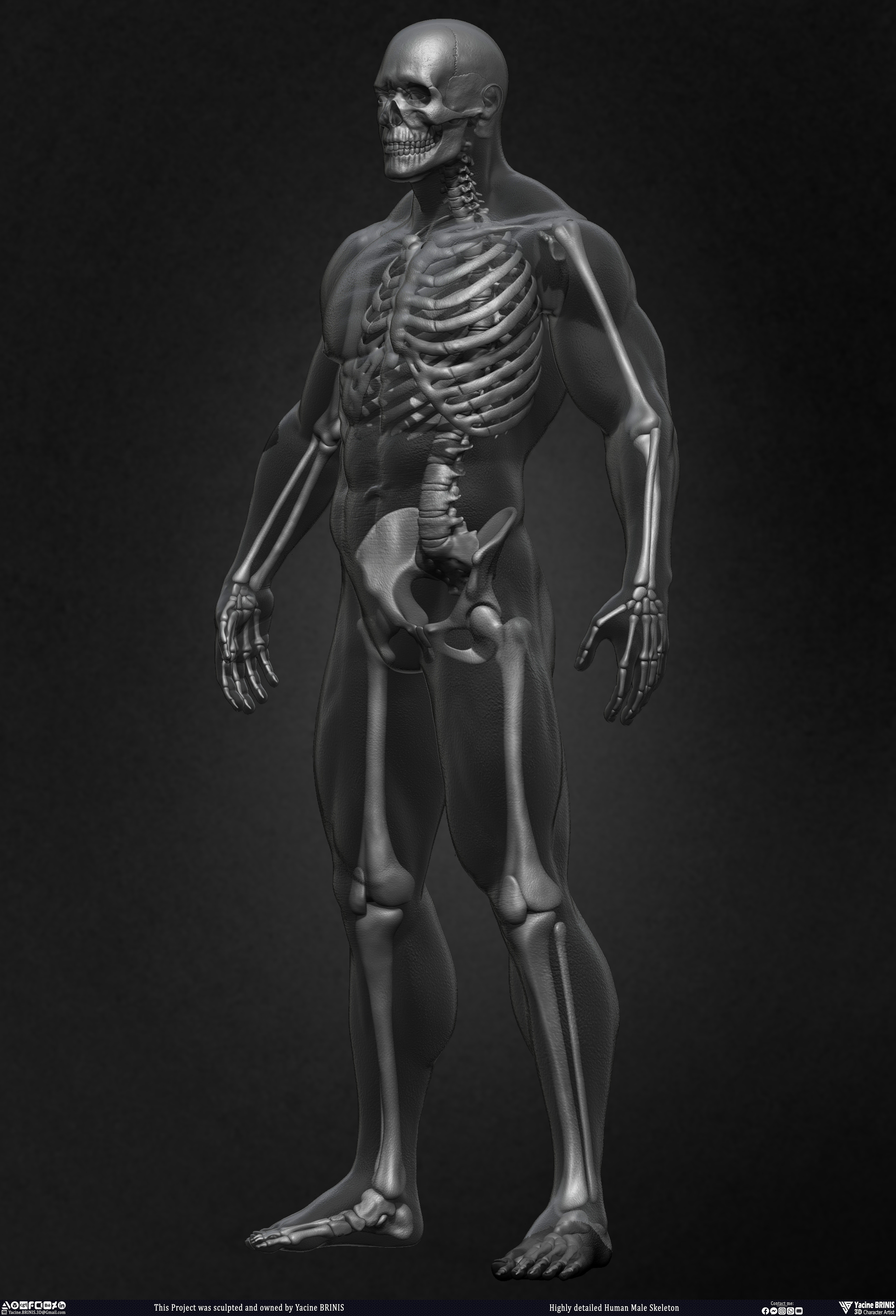Highly Detailed Human Skeleton 3D Model sculpted by Yacine BRINIS 017