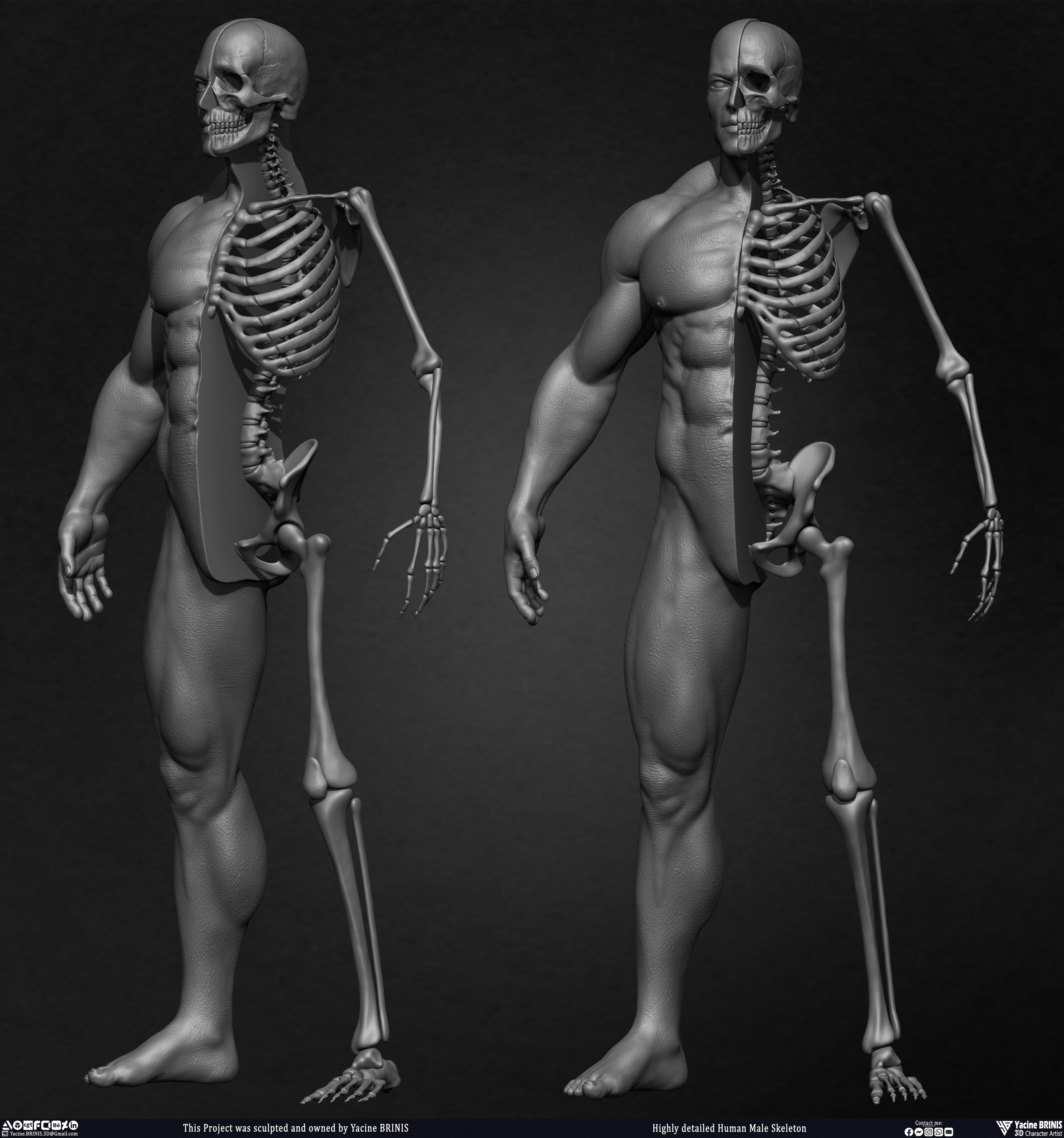 Highly Detailed Human Skeleton 3D Model sculpted by Yacine BRINIS 021