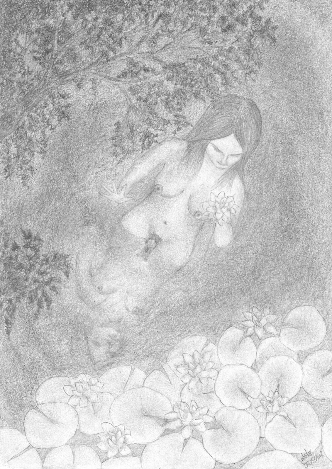 Lilies - Lilie - a pencil sketch
