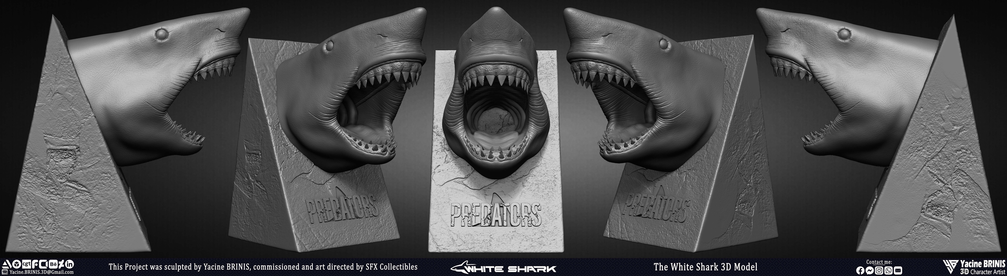 The White Shark Discovery sculpted by Yacine BRINIS 001