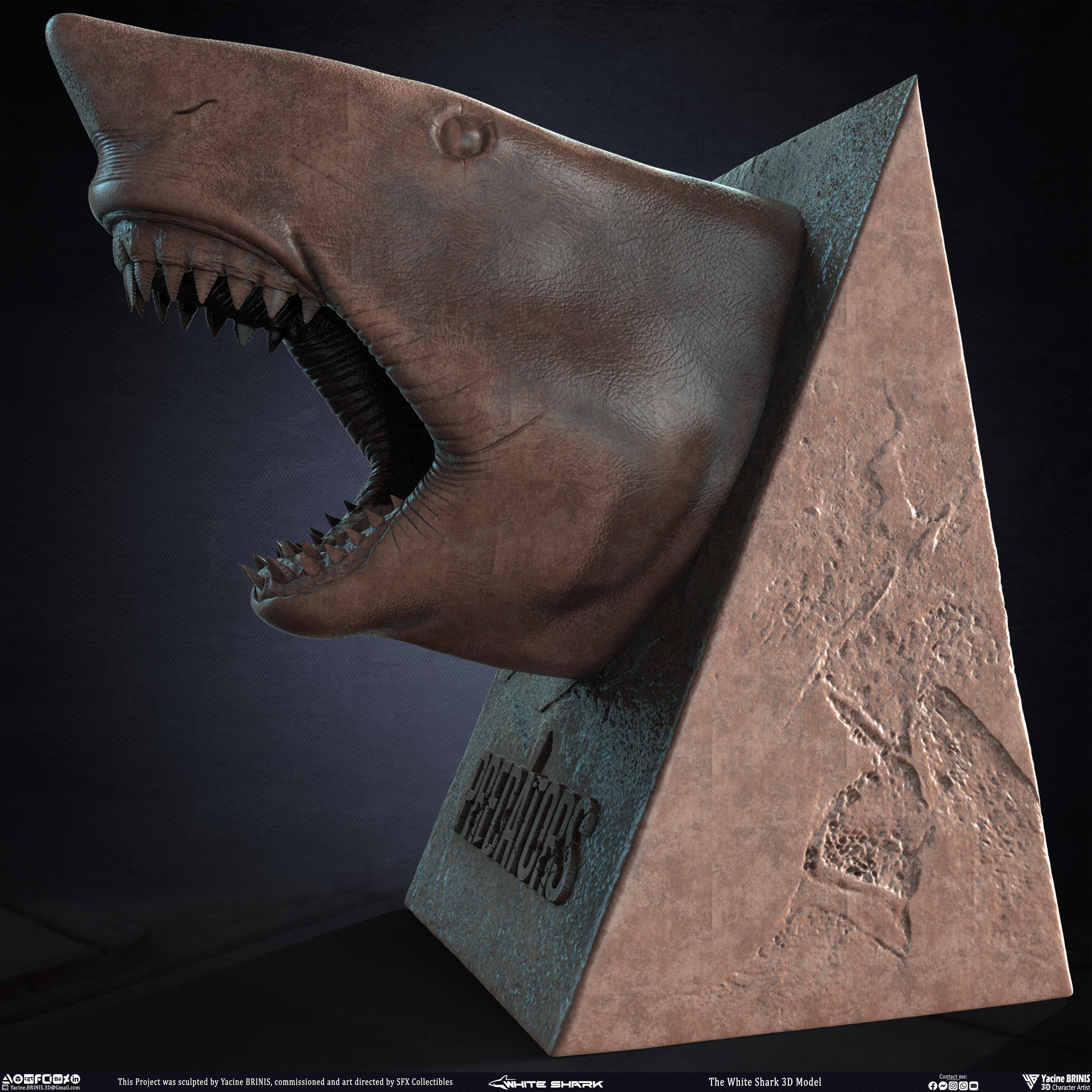 The White Shark Discovery sculpted by Yacine BRINIS 004