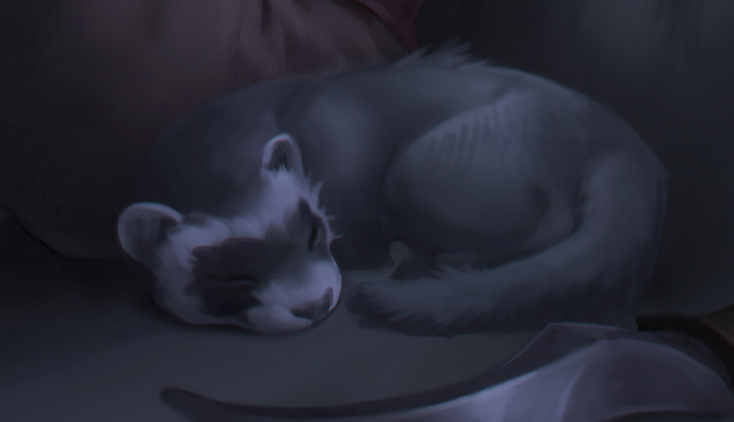 Kitty kat. ...Okay, ferret, but still &lt;3