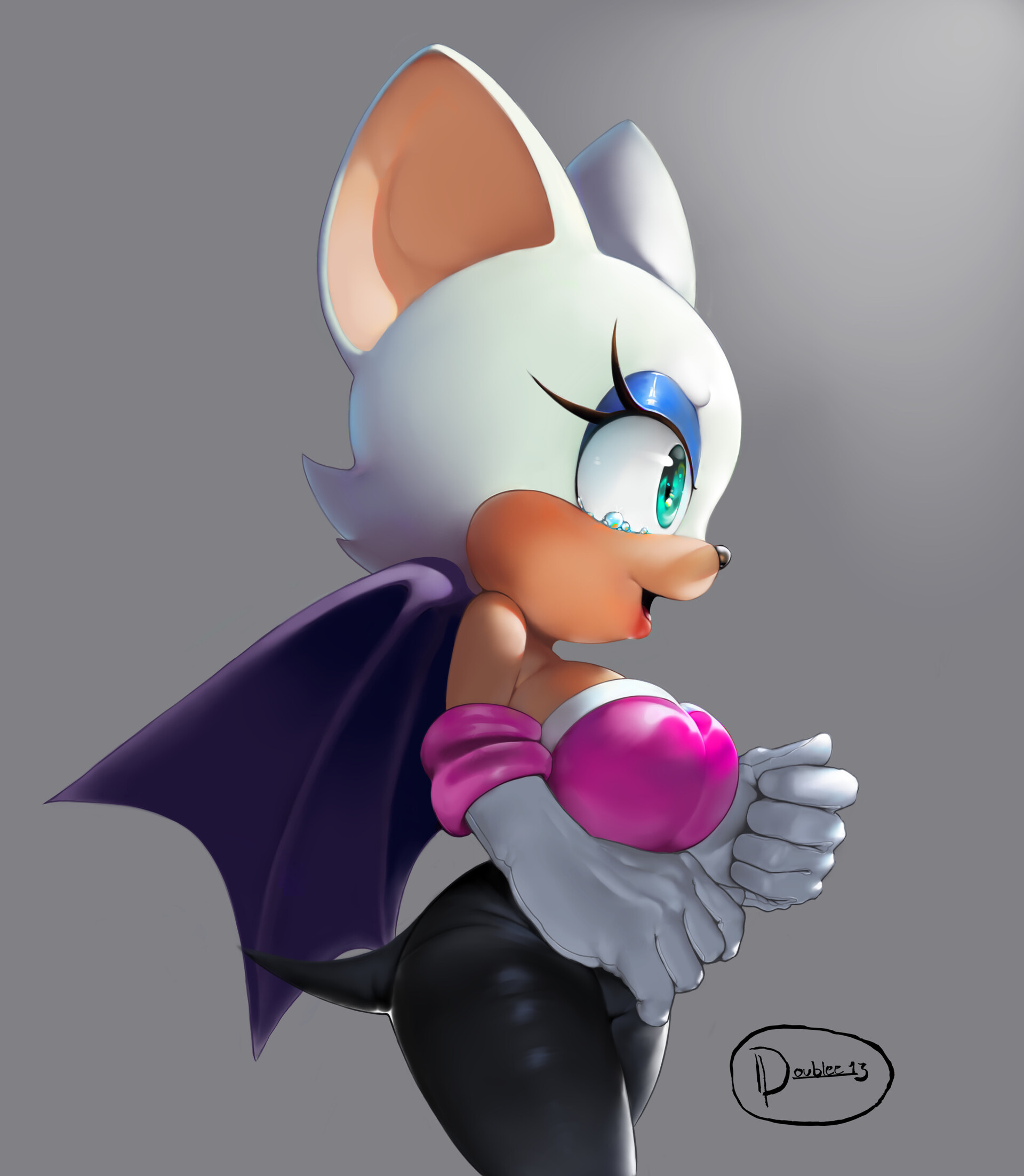 Rouge The Bat's HENTAI: A Critical Look At Its Reception