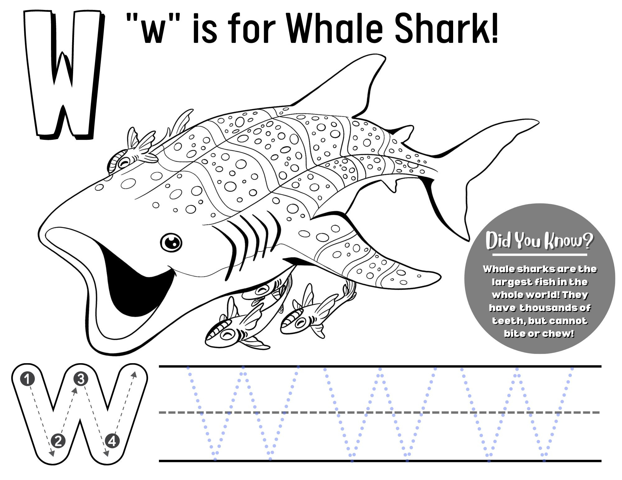 PreK Animal Alphabet Worksheet