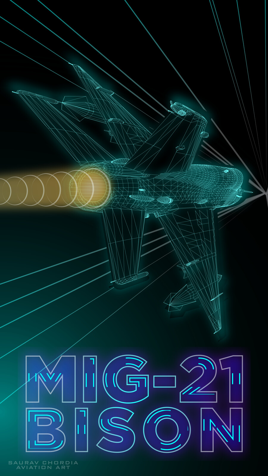 Mig-21 Bisons